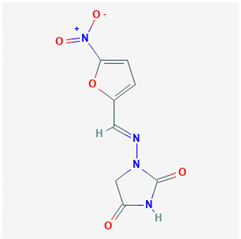 Biology 09 00365 i019 Biology 09 00365 i019