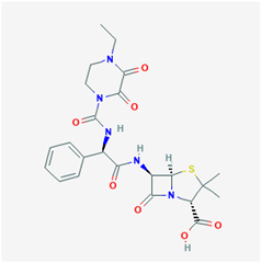 Biology 09 00365 i023 Biology 09 00365 i023