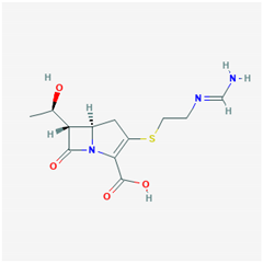 Biology 09 00365 i024 Biology 09 00365 i024