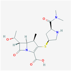 Biology 09 00365 i025 Biology 09 00365 i025