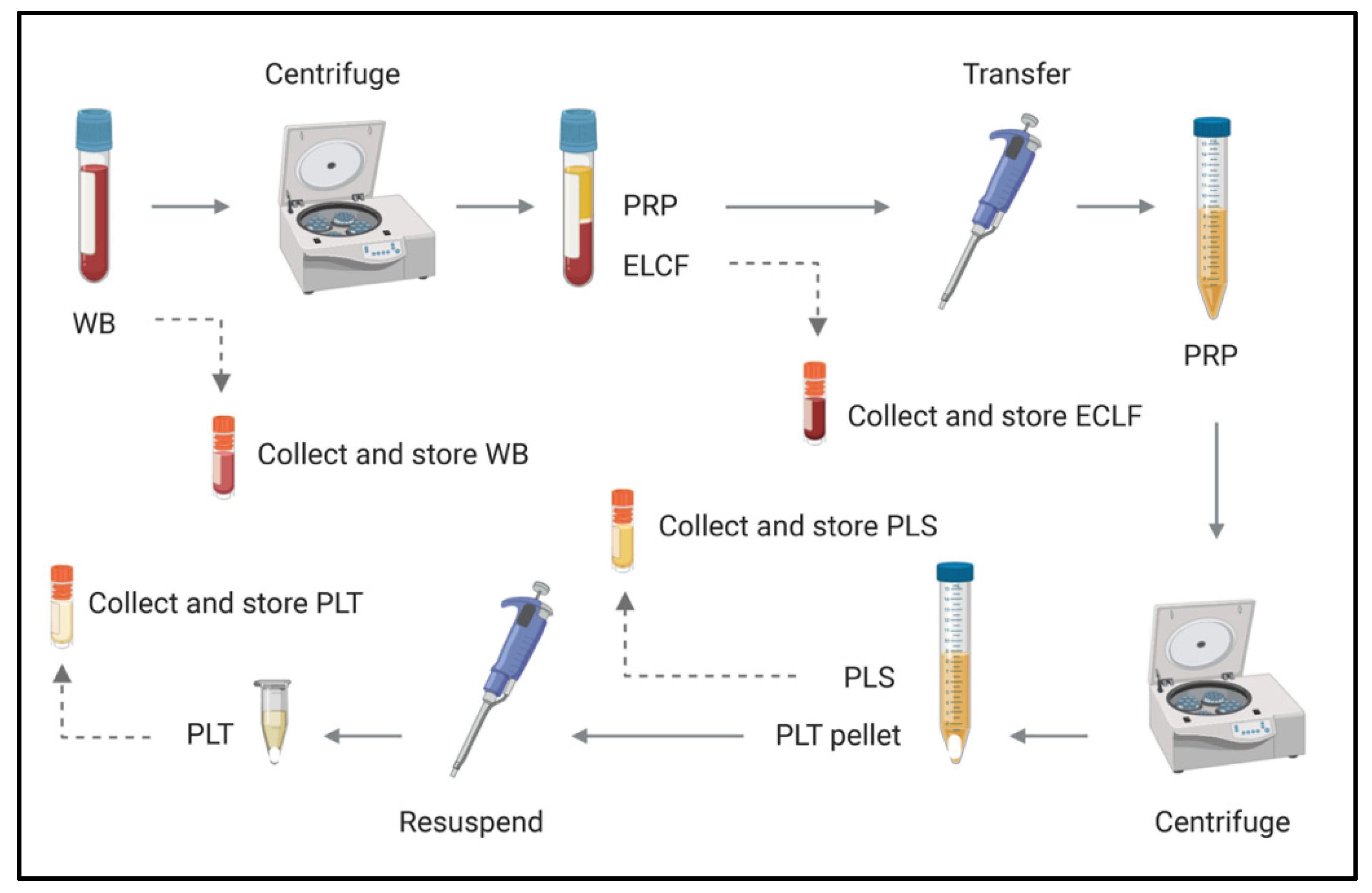 Biology 09 00366 g004
