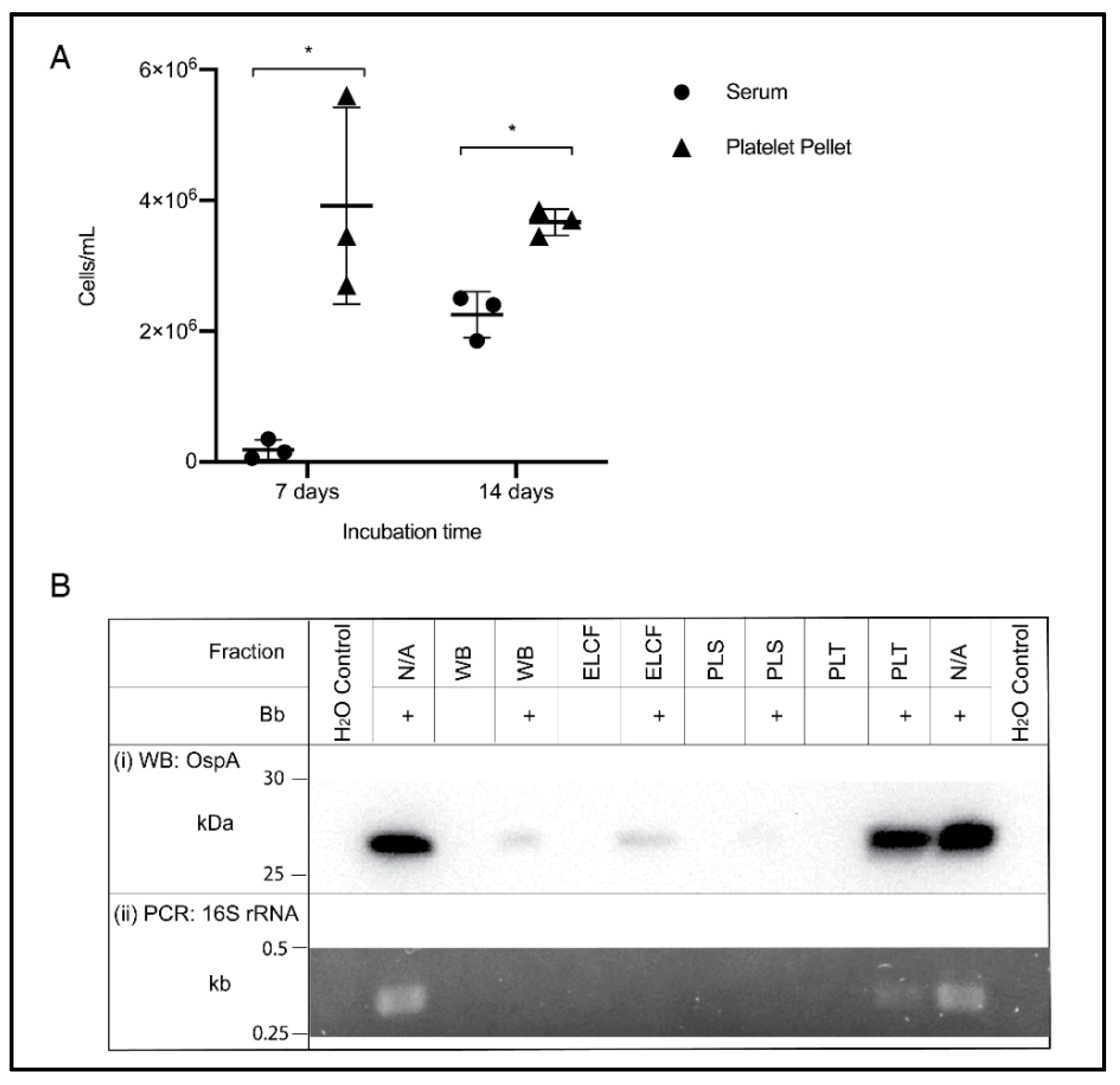 Biology 09 00366 g006