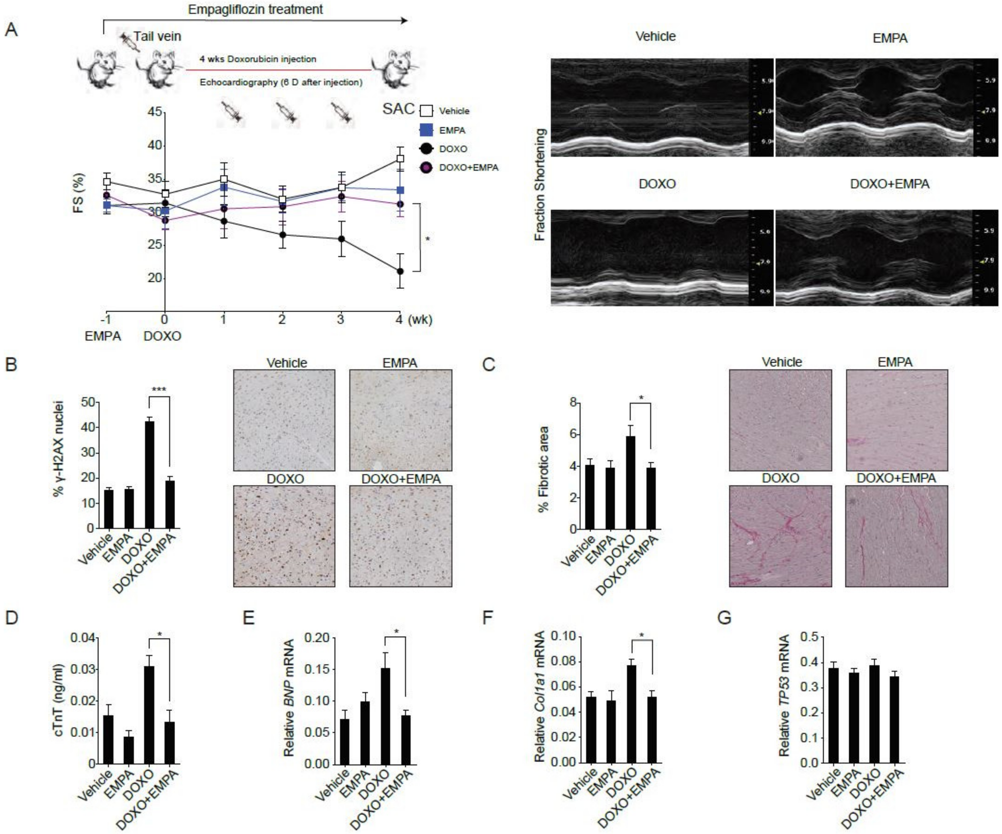 Biology 09 00369 g001