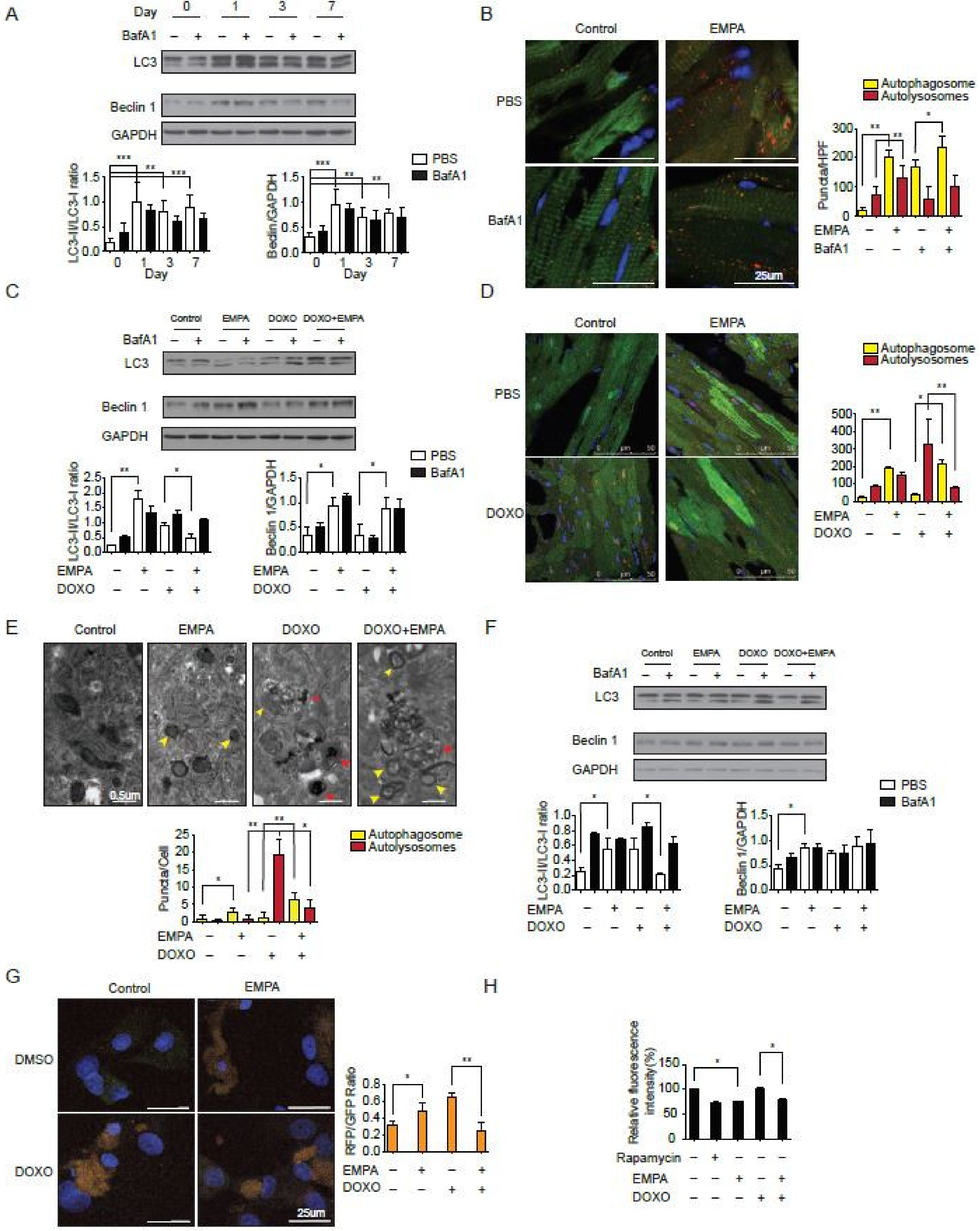 Biology 09 00369 g002