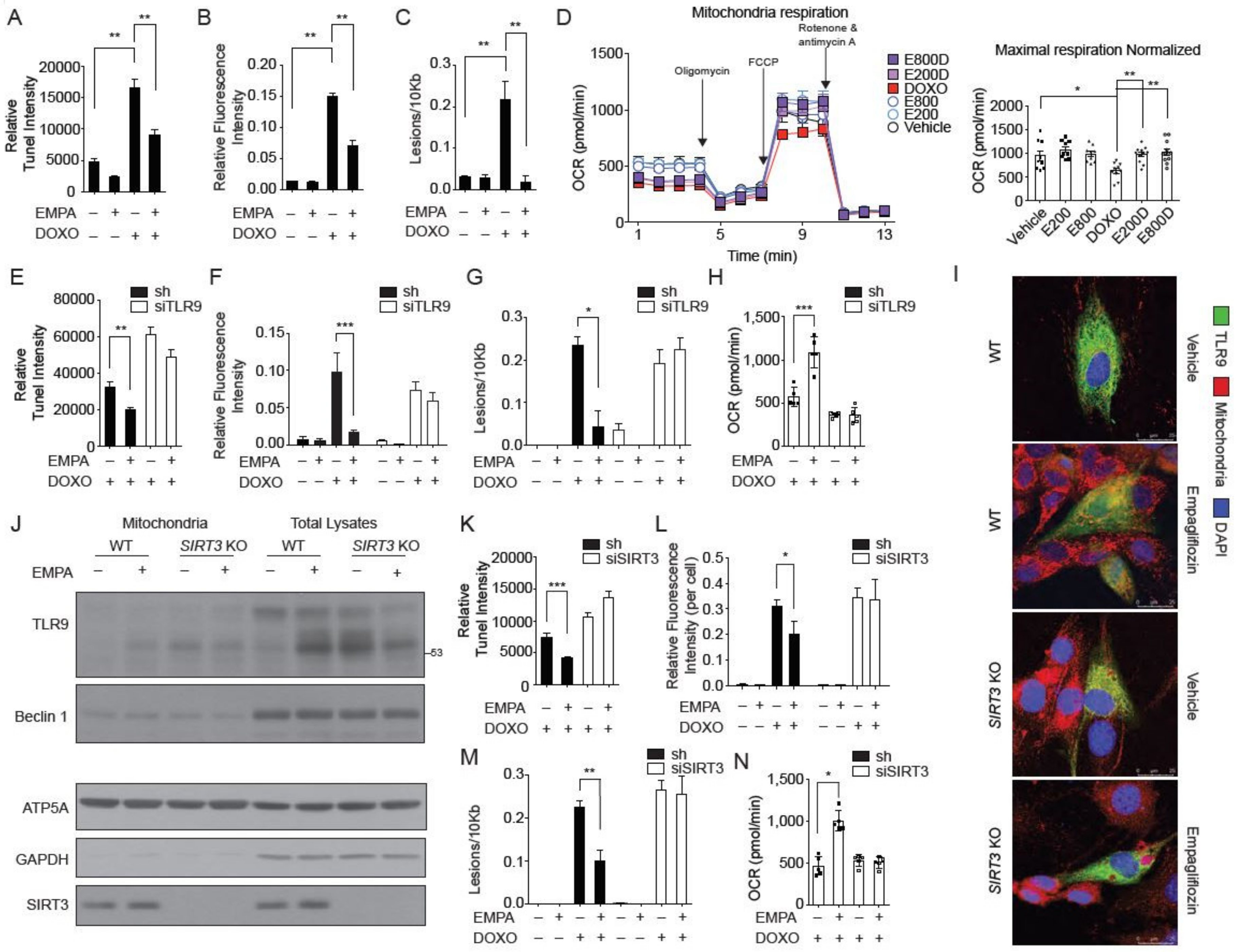 Biology 09 00369 g005