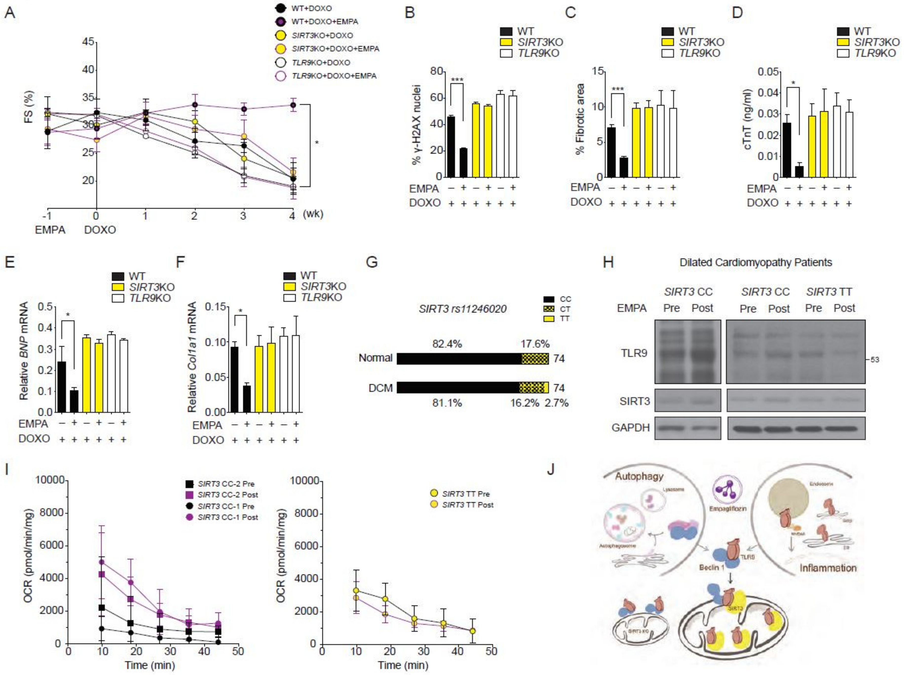 Biology 09 00369 g006