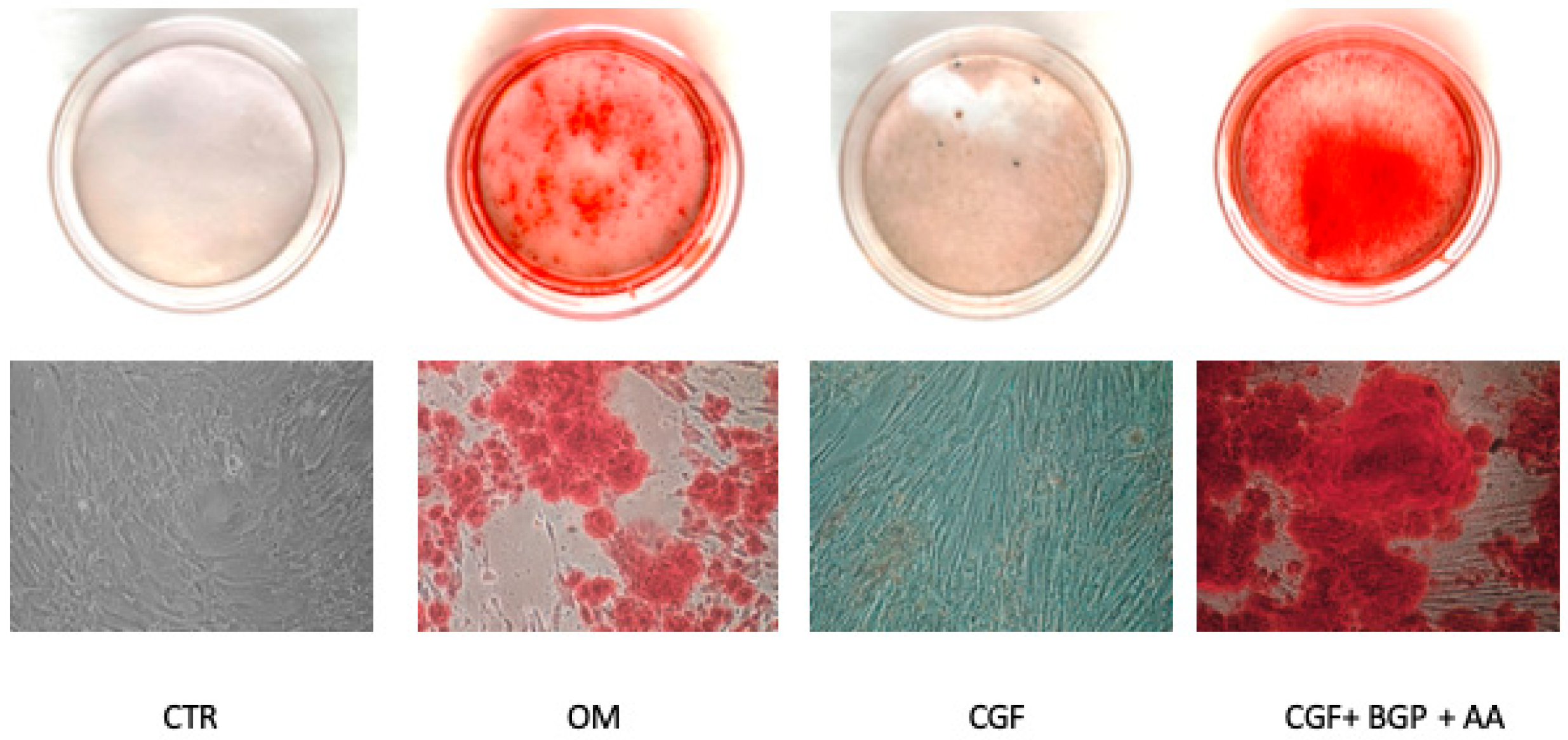 Biology 09 00370 g003