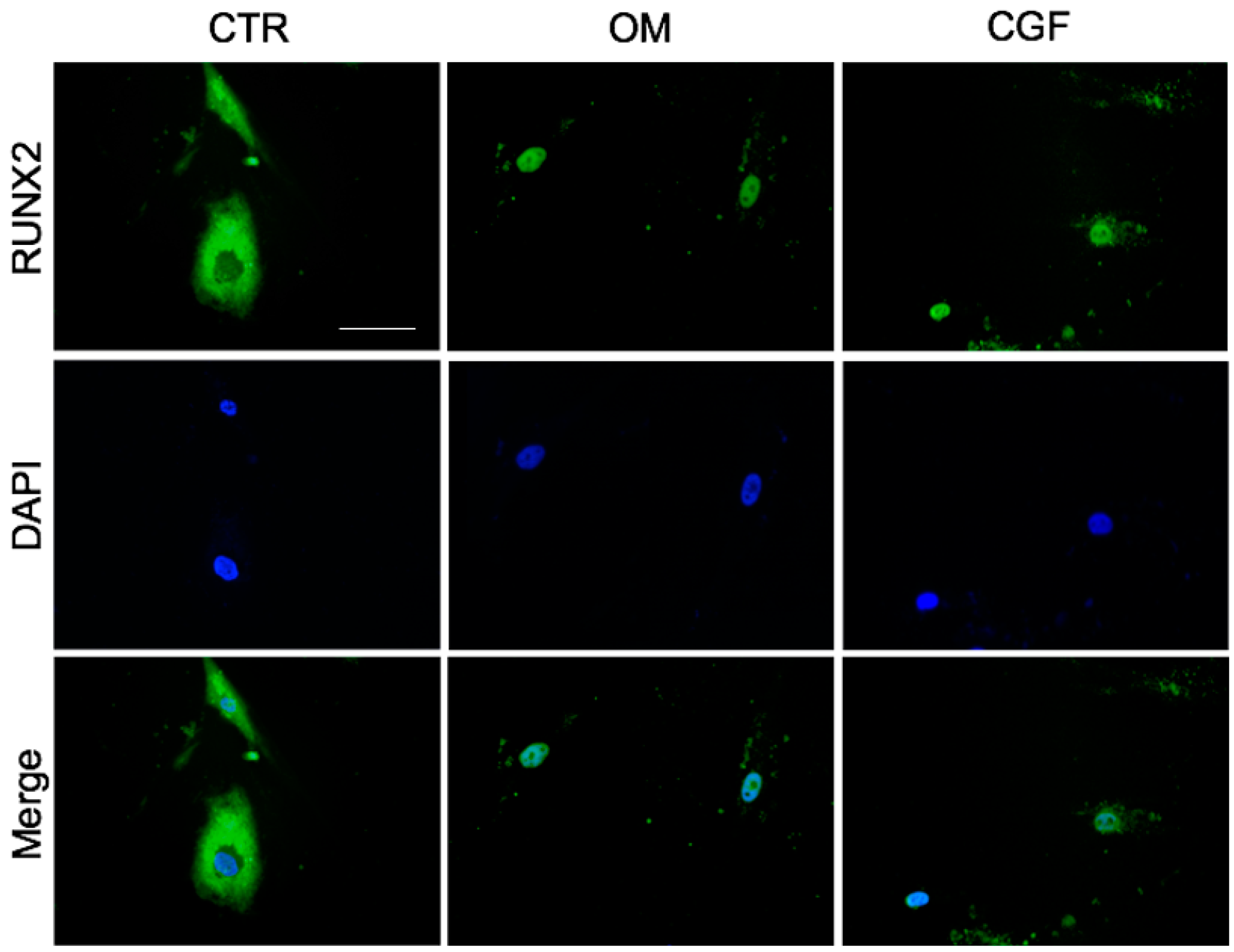 Biology 09 00370 g007