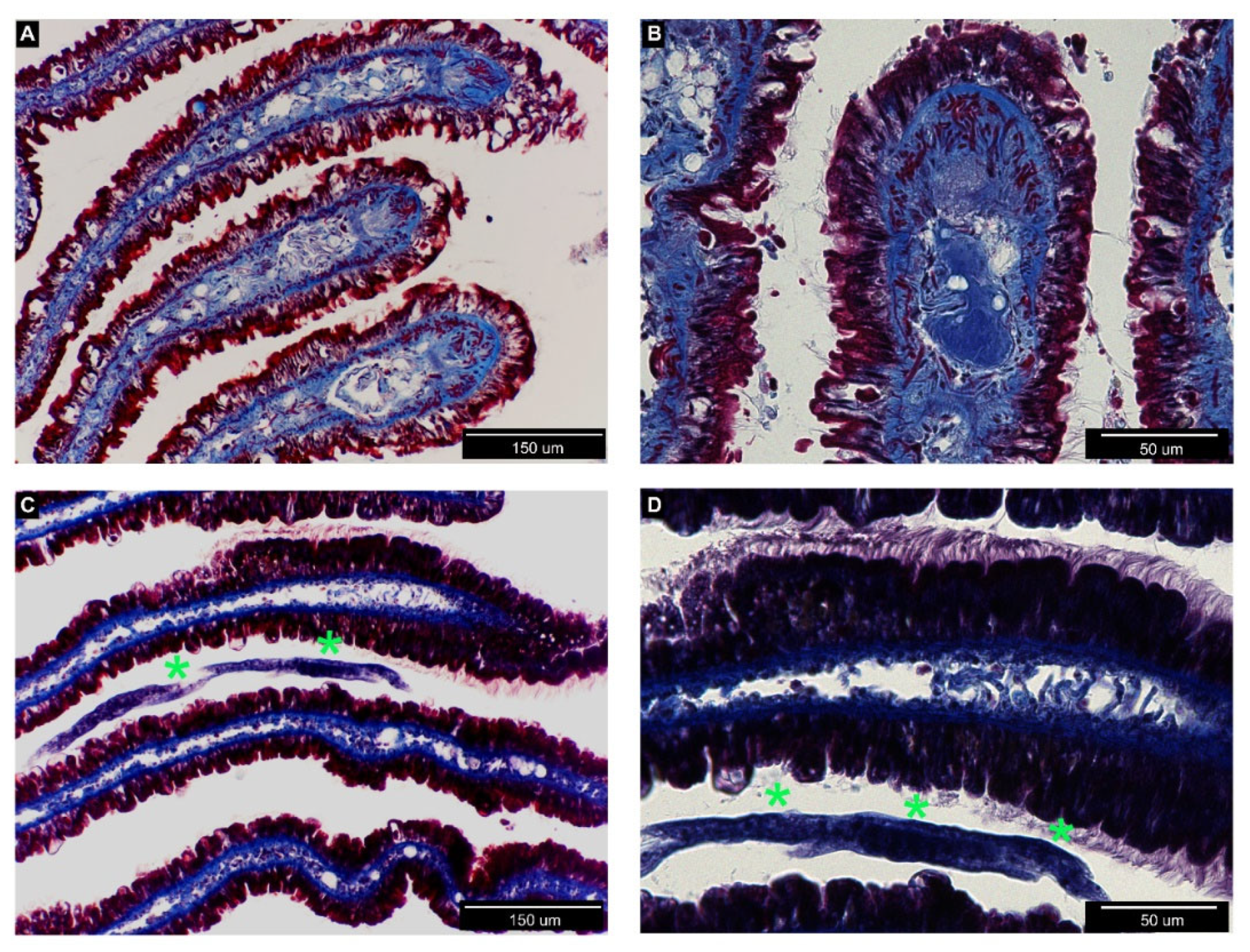 Biology 09 00371 g003