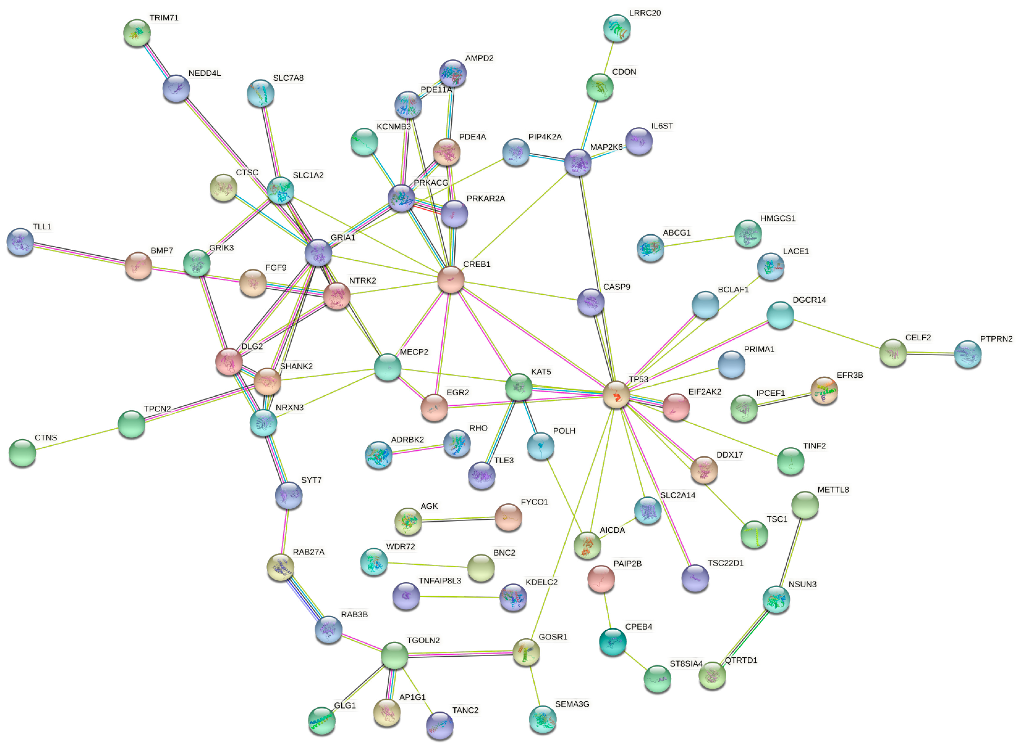 Biology 09 00379 g004 Biology 09 00379 g004