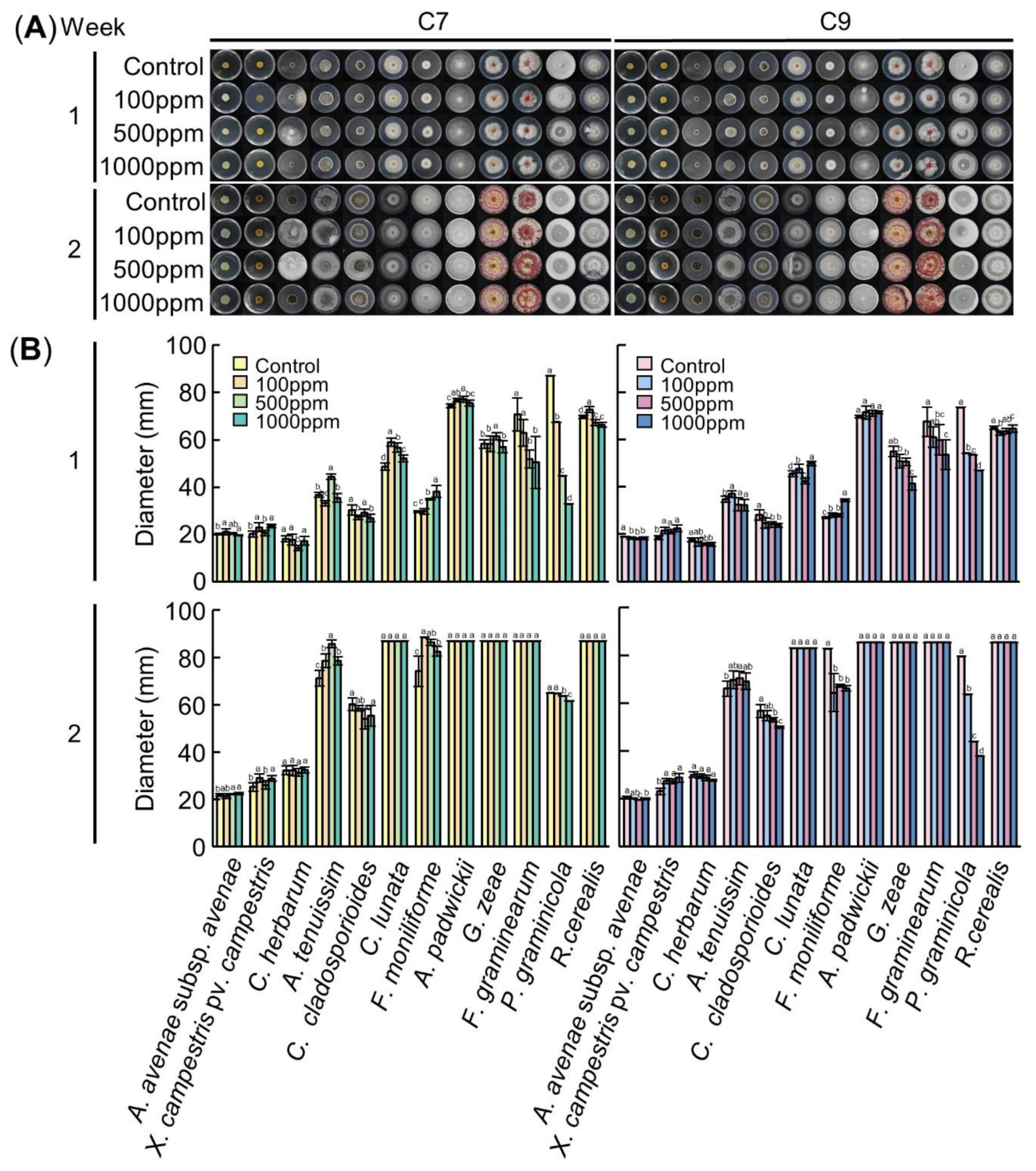 Biology 09 00382 g003 Biology 09 00382 g003