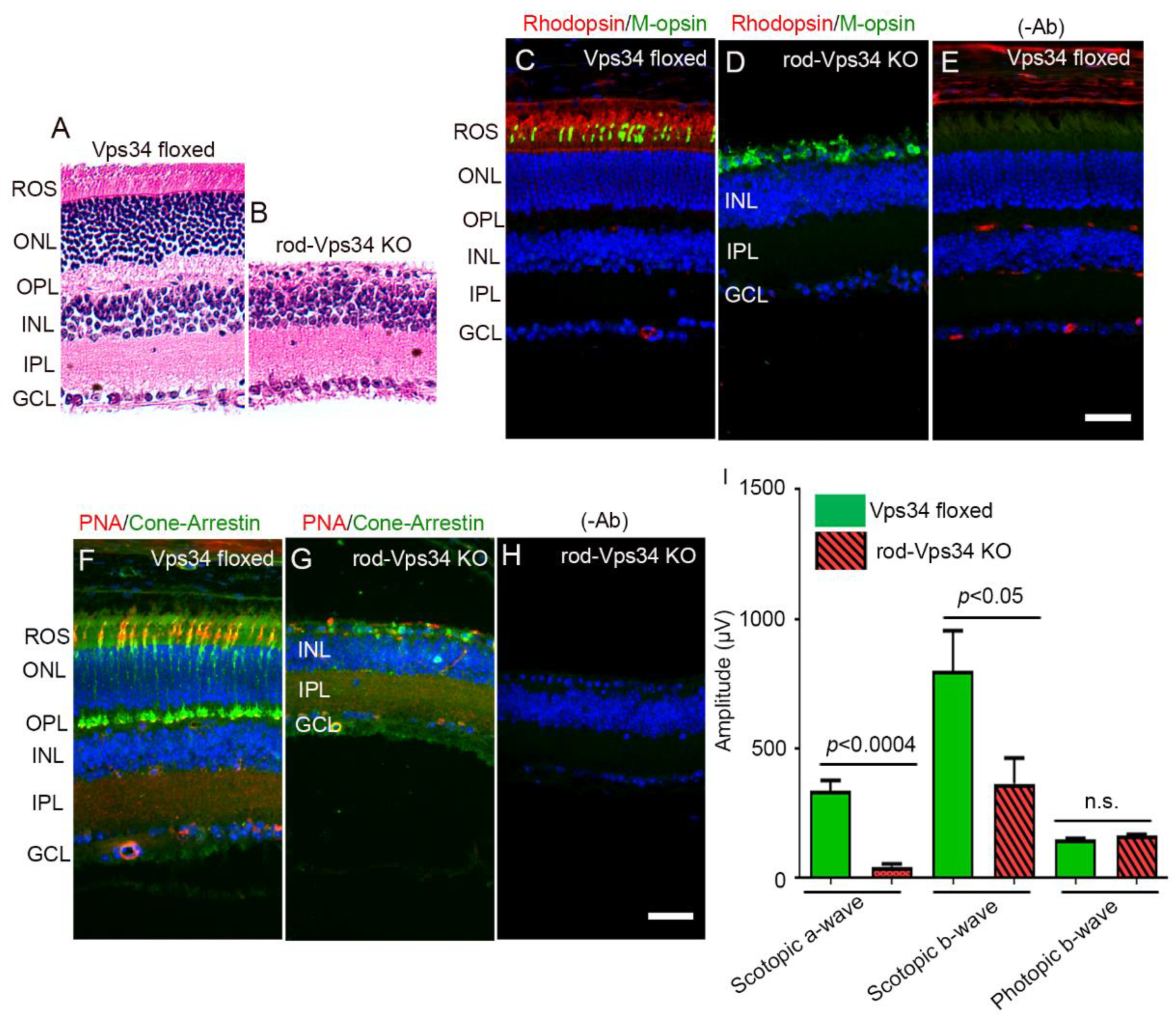 Biology 09 00384 g001