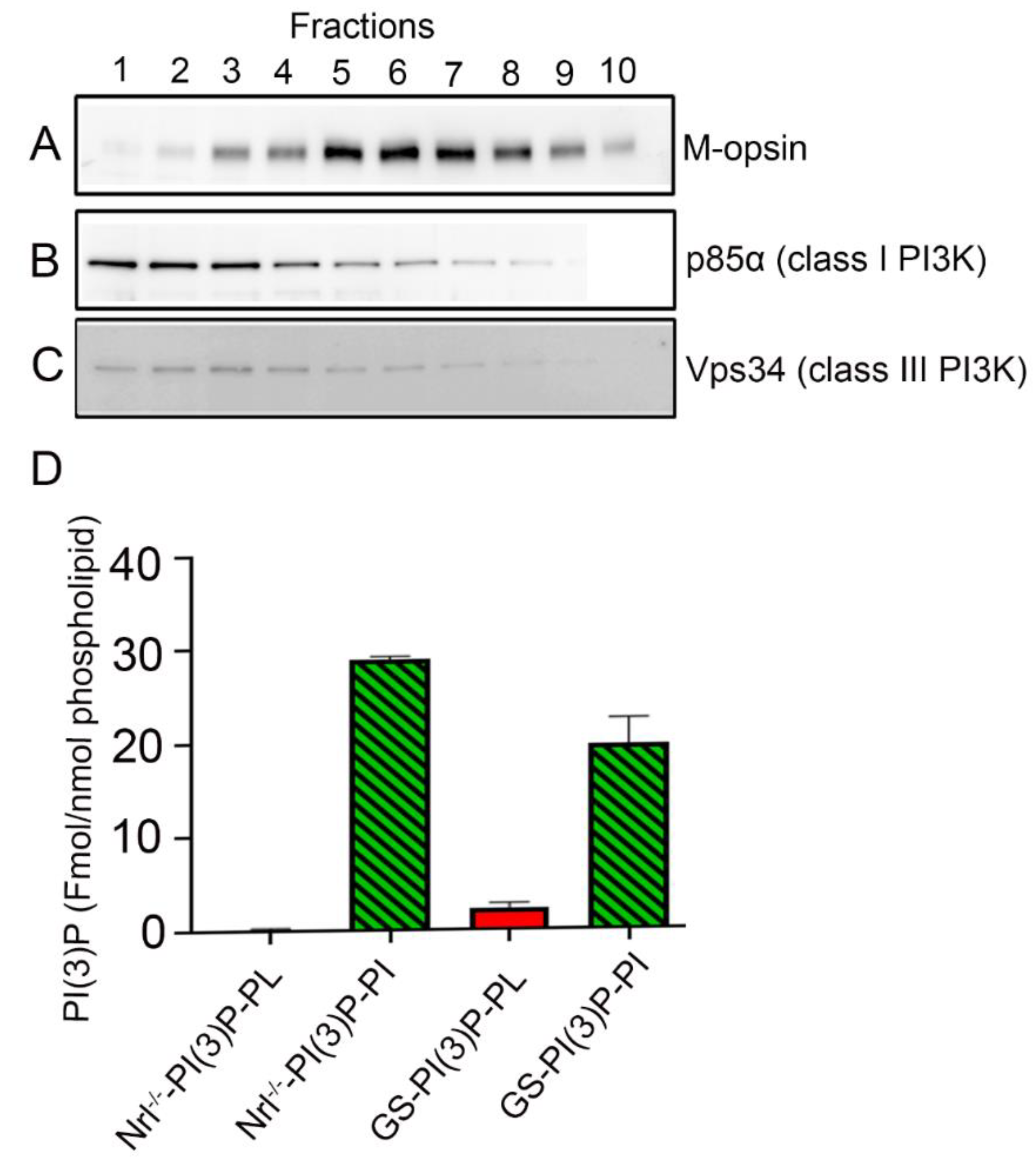 Biology 09 00384 g002