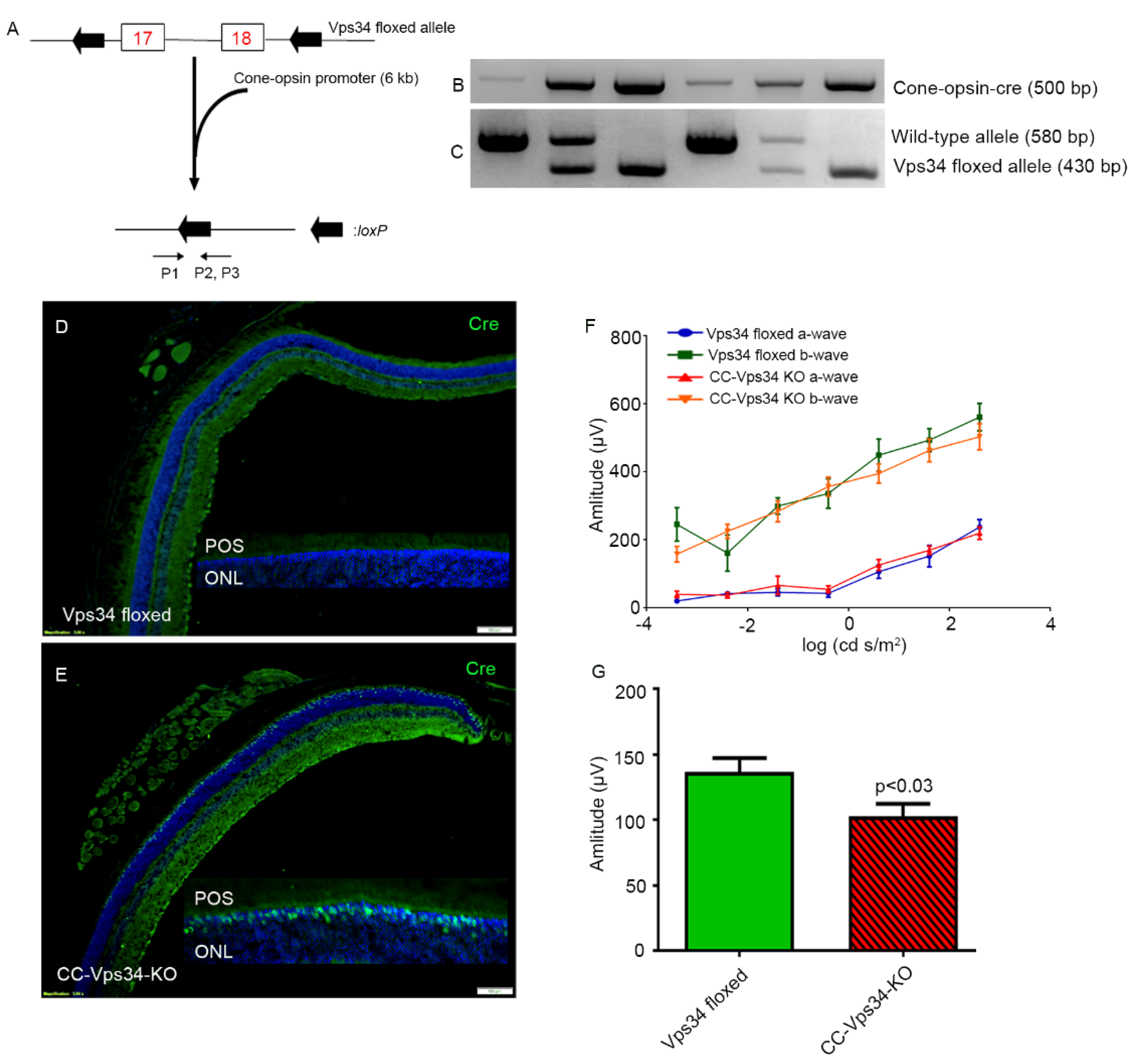 Biology 09 00384 g003