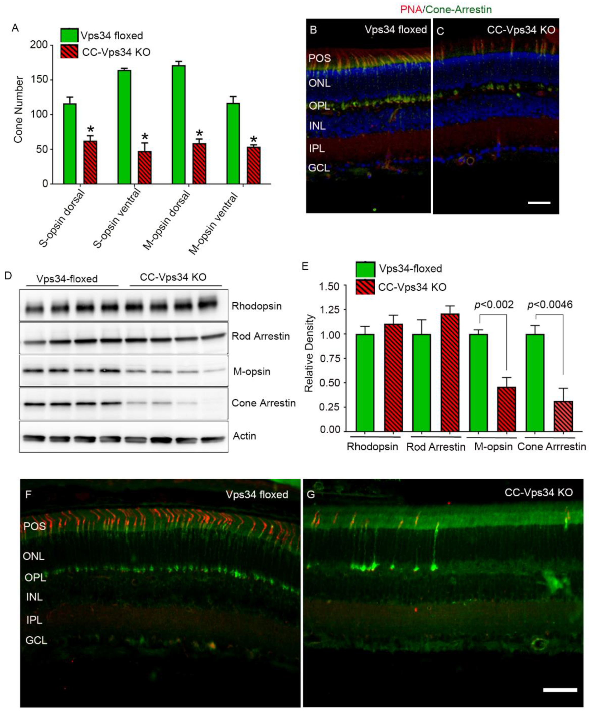 Biology 09 00384 g005