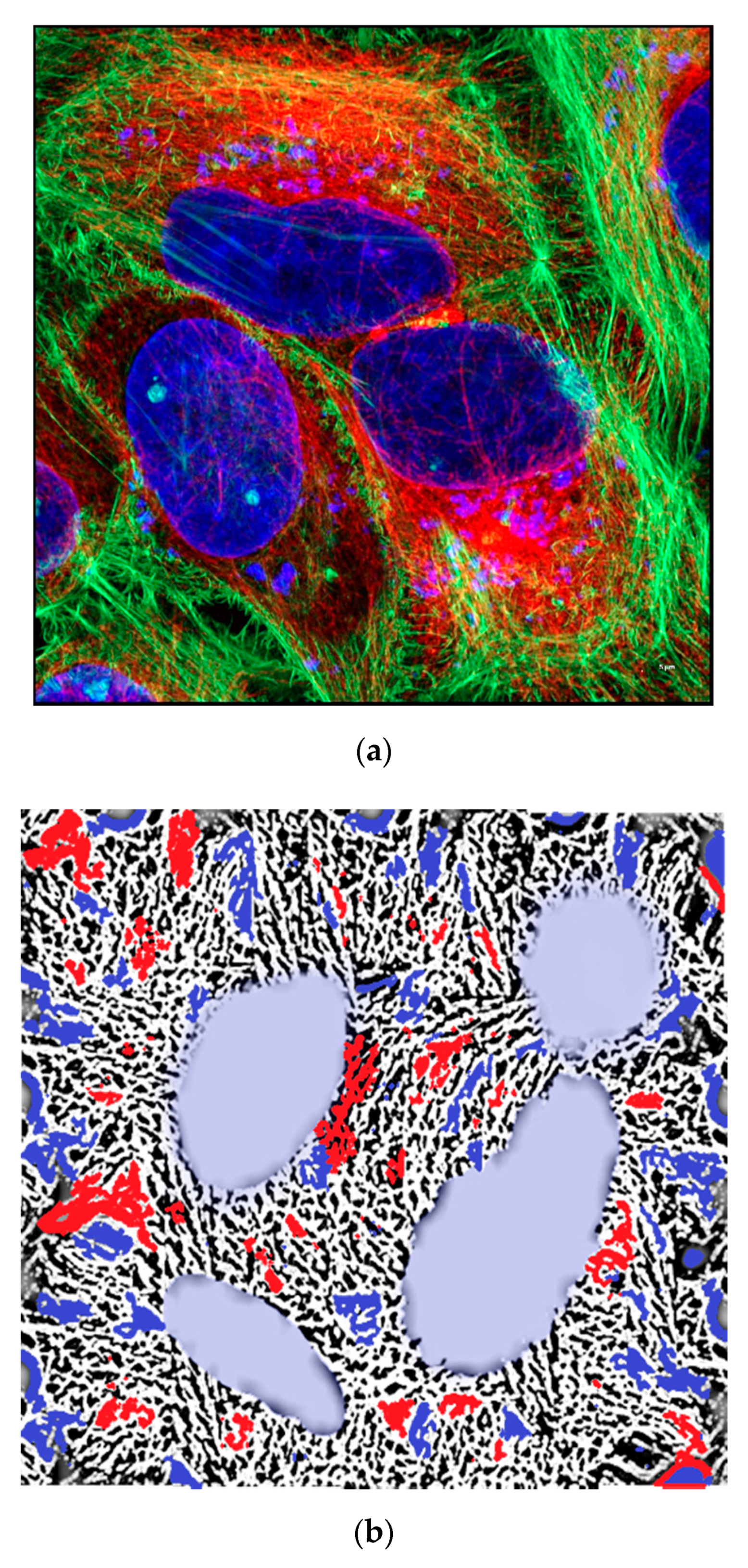 Biology 09 00385 g002