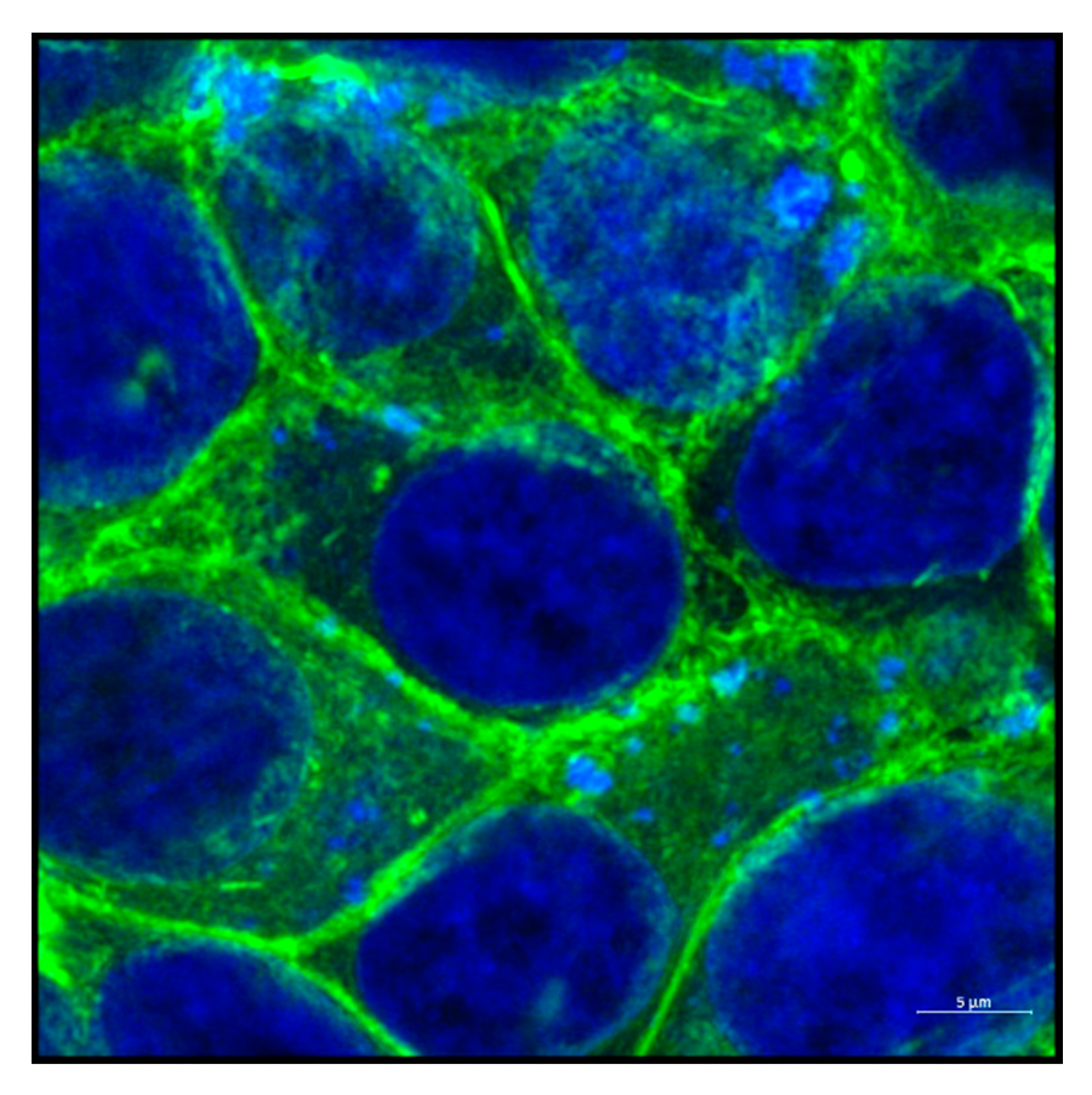 Biology 09 00385 g003