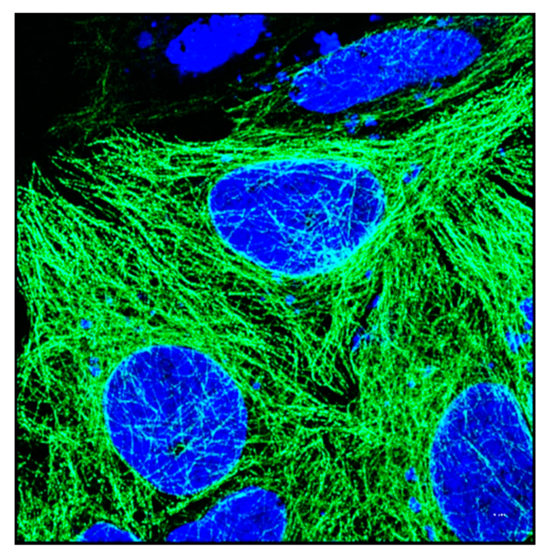 Biology 09 00385 g005