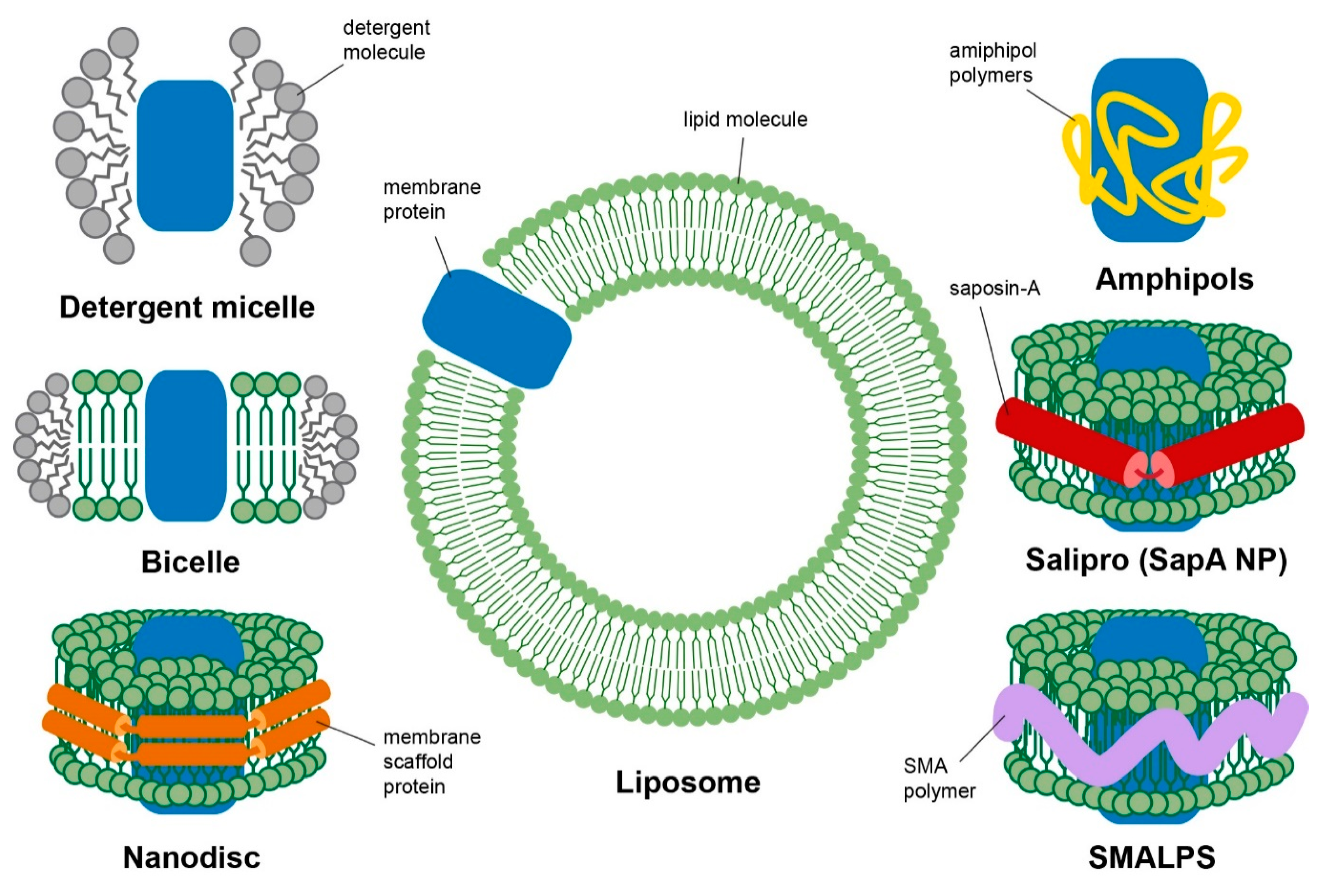 Biology 09 00396 g001