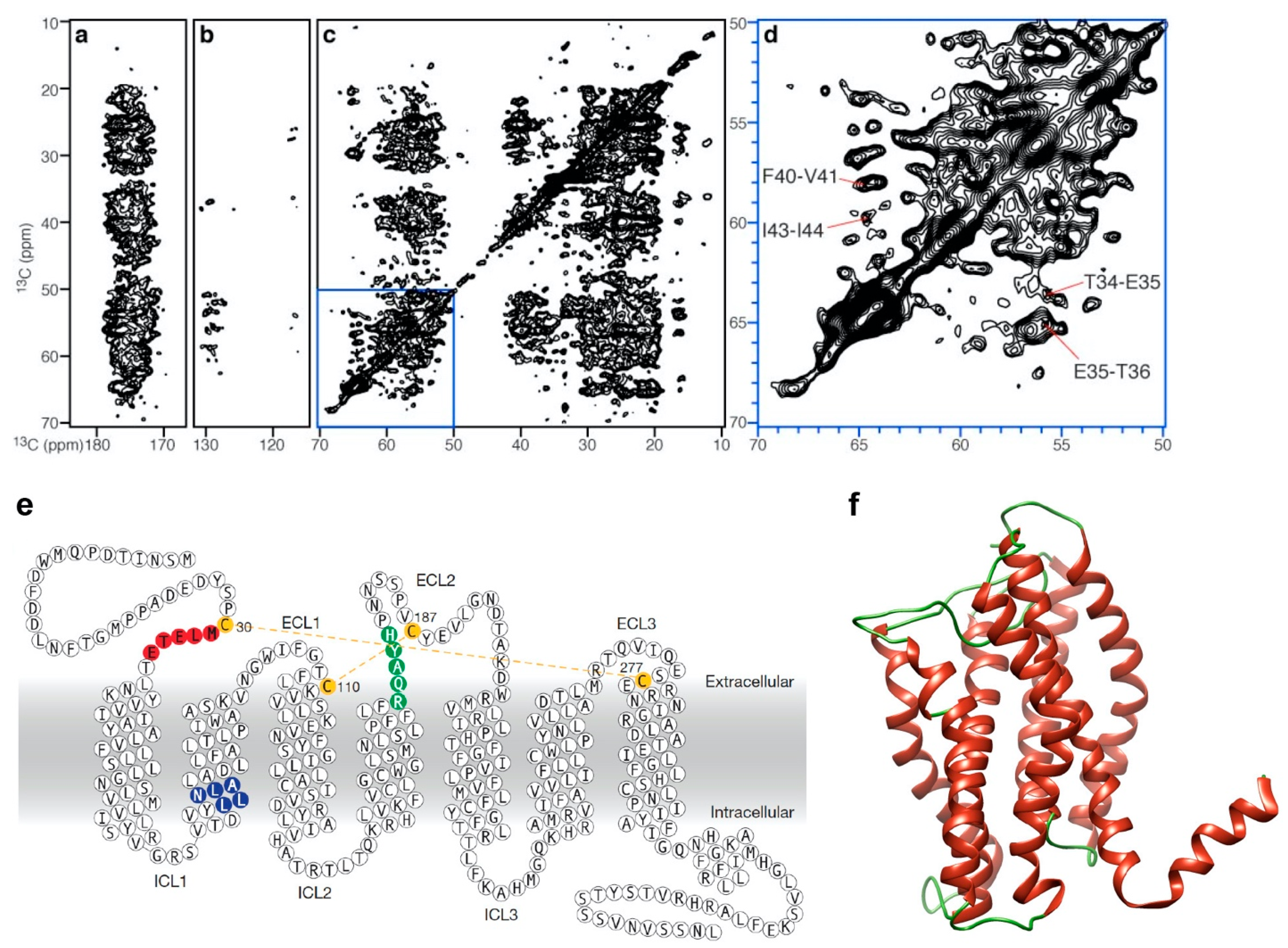 Biology 09 00396 g004