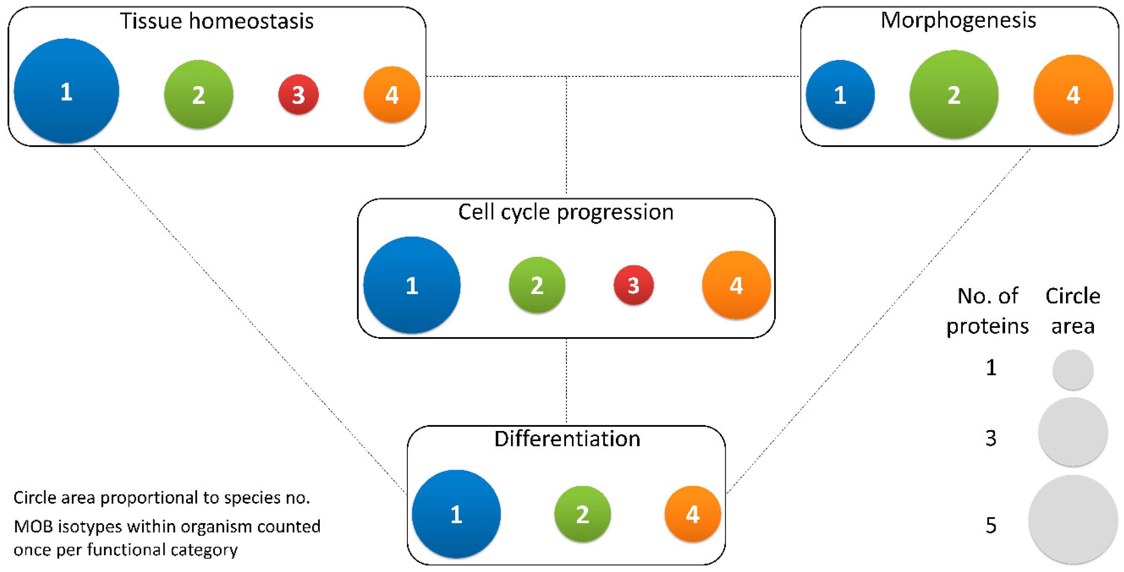 Biology 09 00413 g003