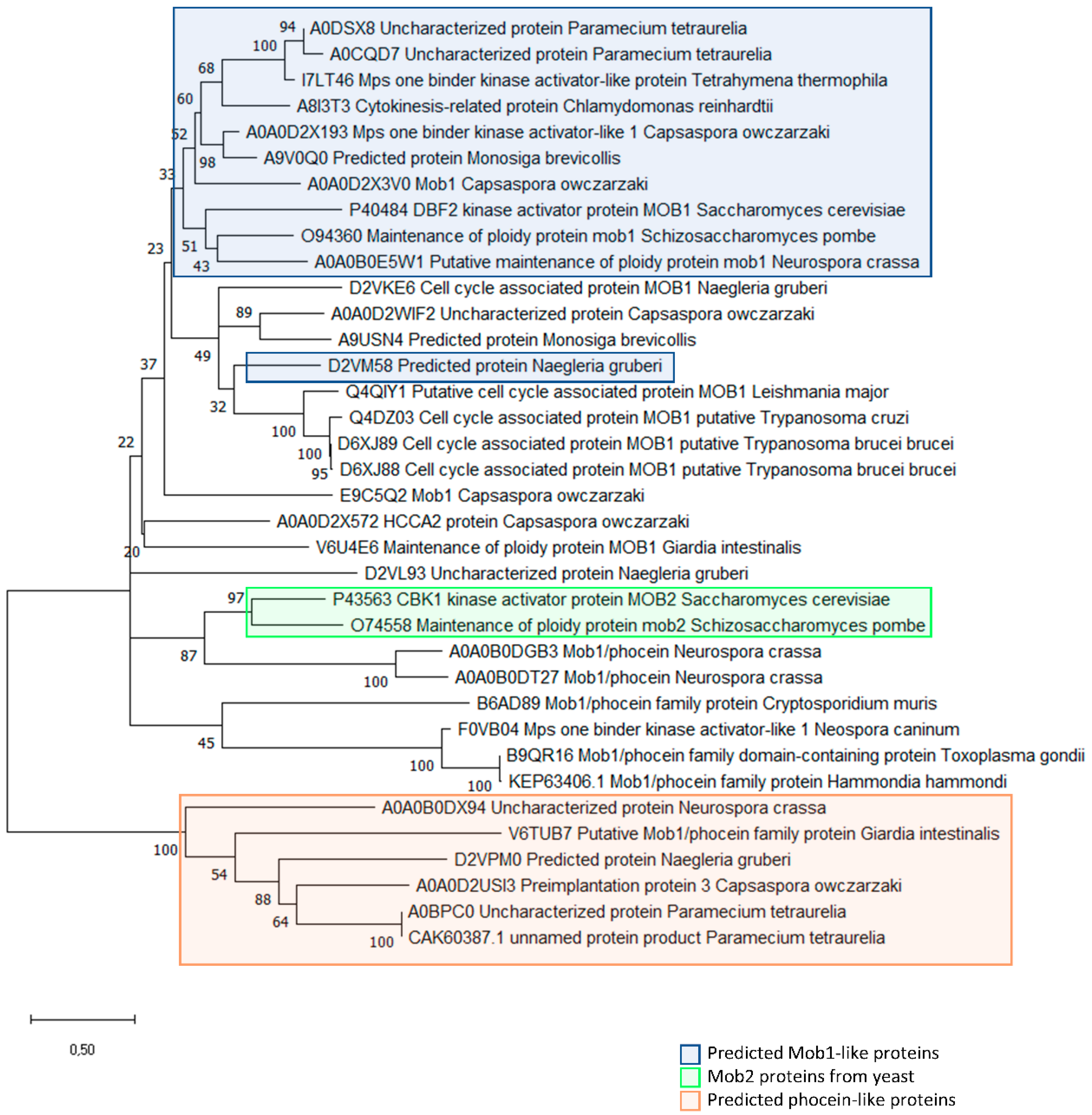 Biology 09 00413 g004