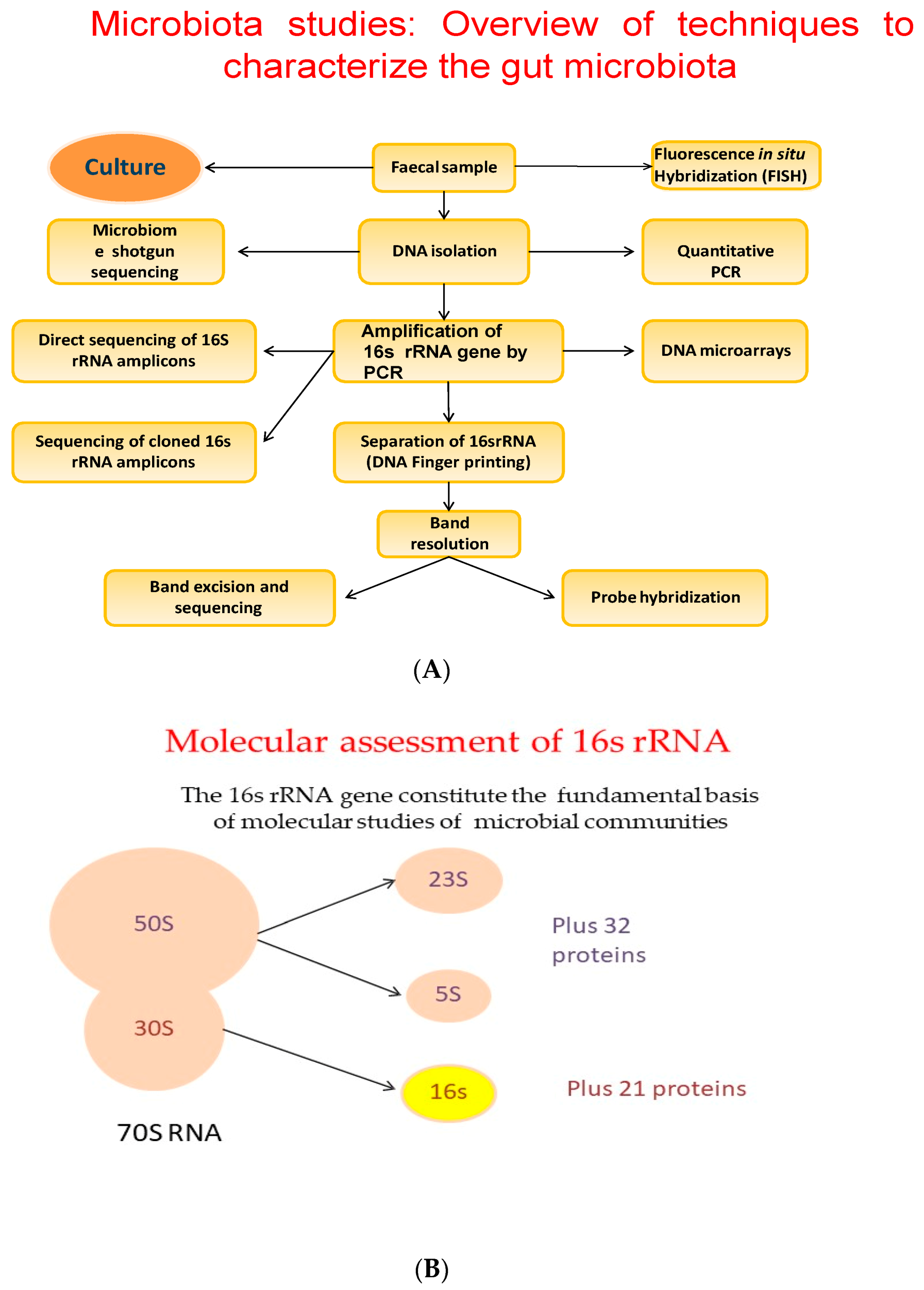 Biology 09 00415 g003 Biology 09 00415 g003