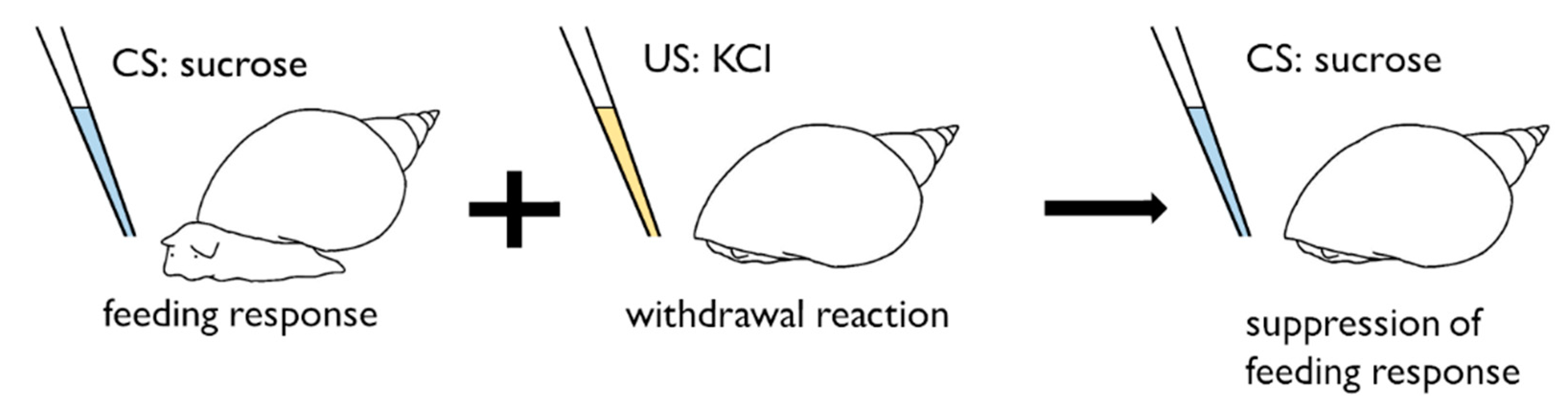 Biology 09 00422 g002