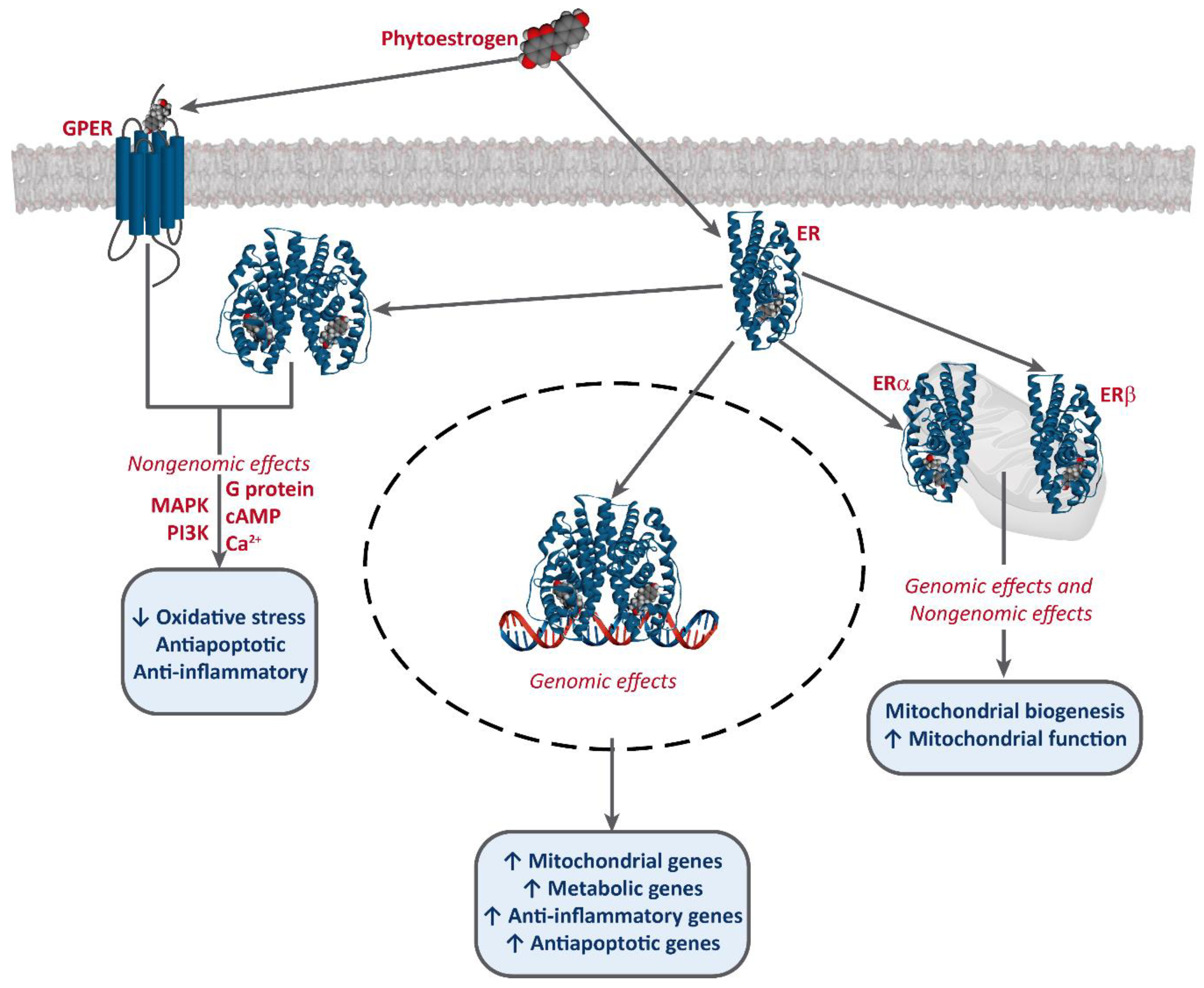 Biology 09 00427 g002 Biology 09 00427 g002