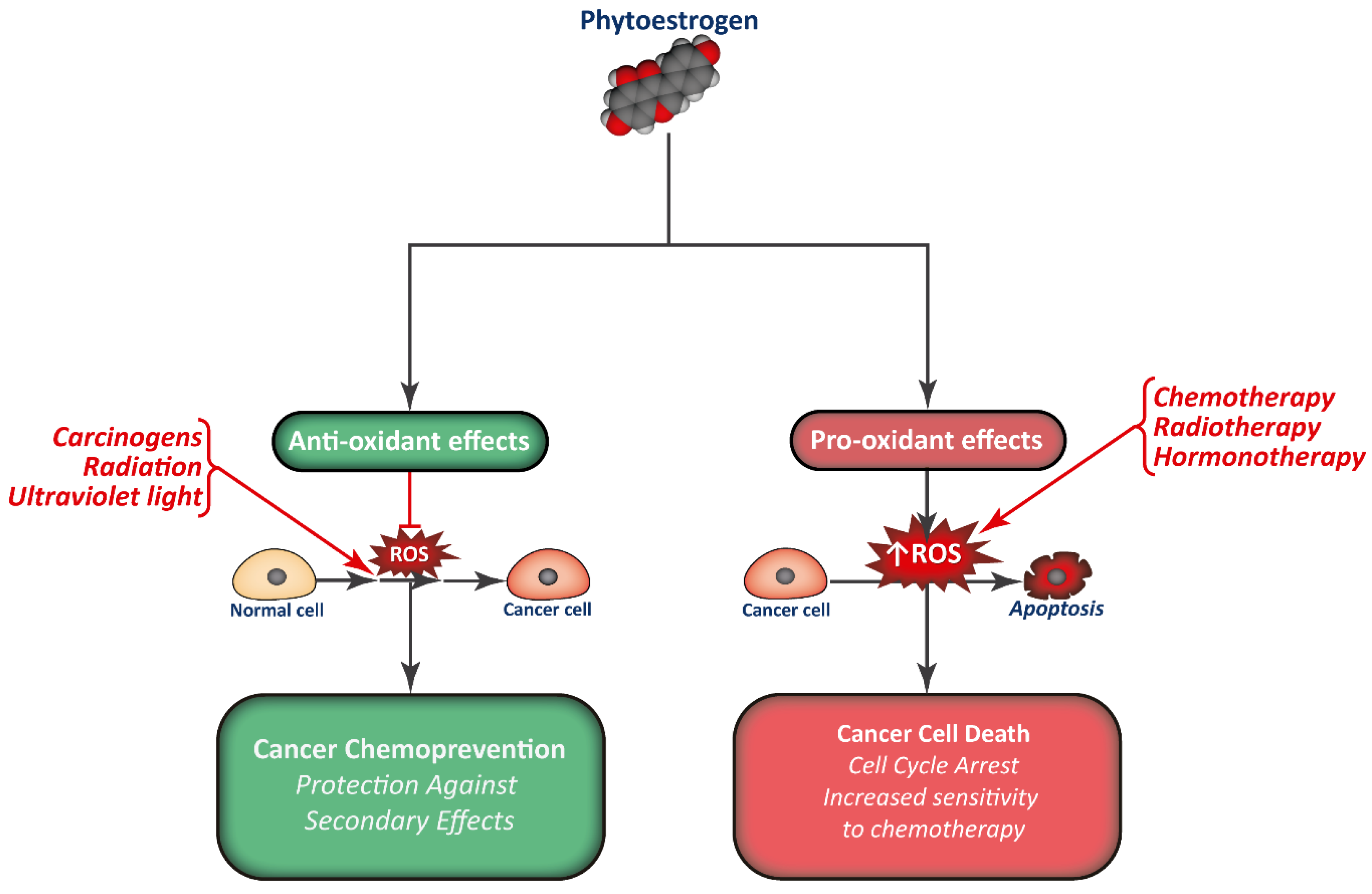 Biology 09 00427 g003 Biology 09 00427 g003