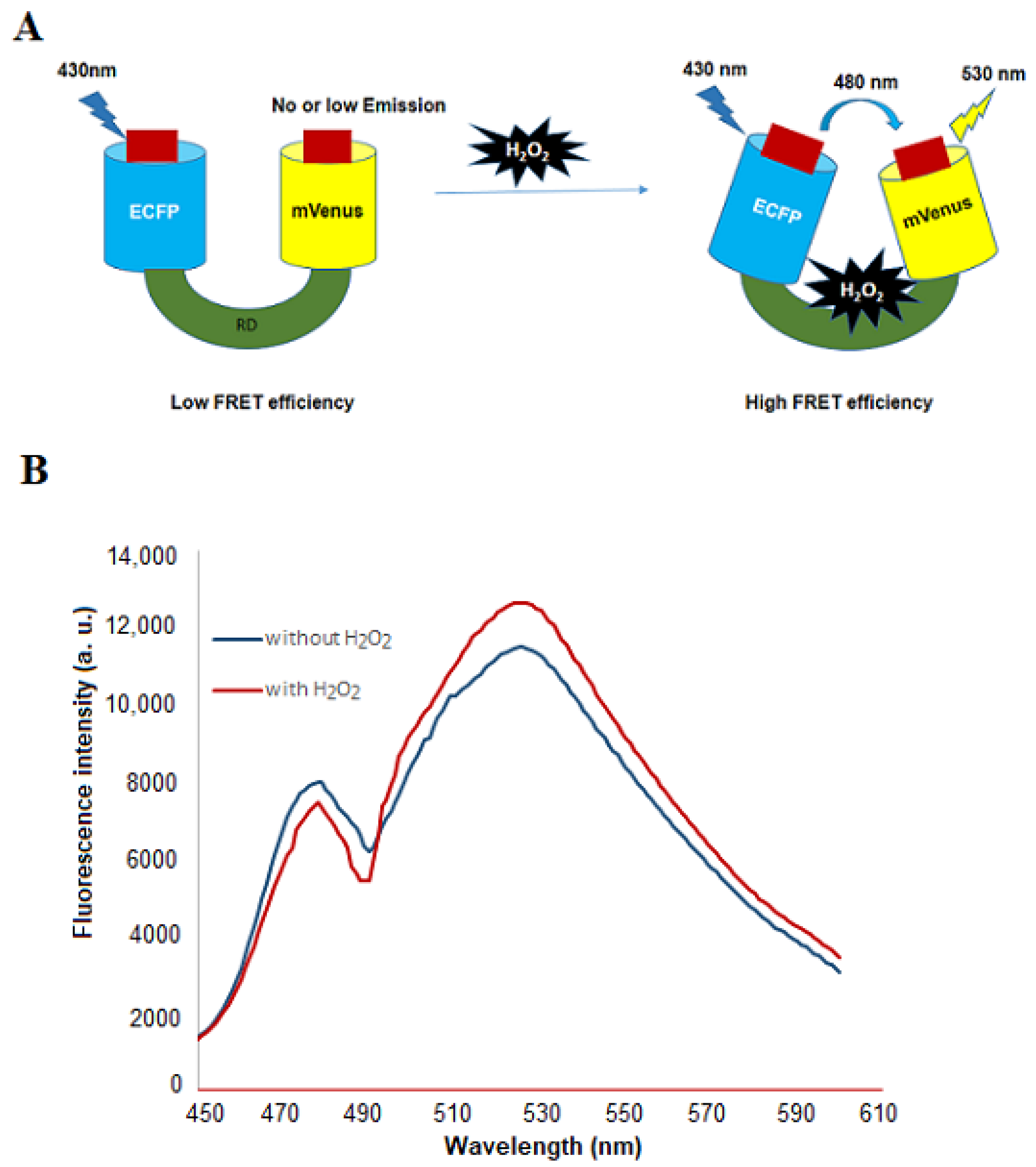 Biology 09 00430 g001