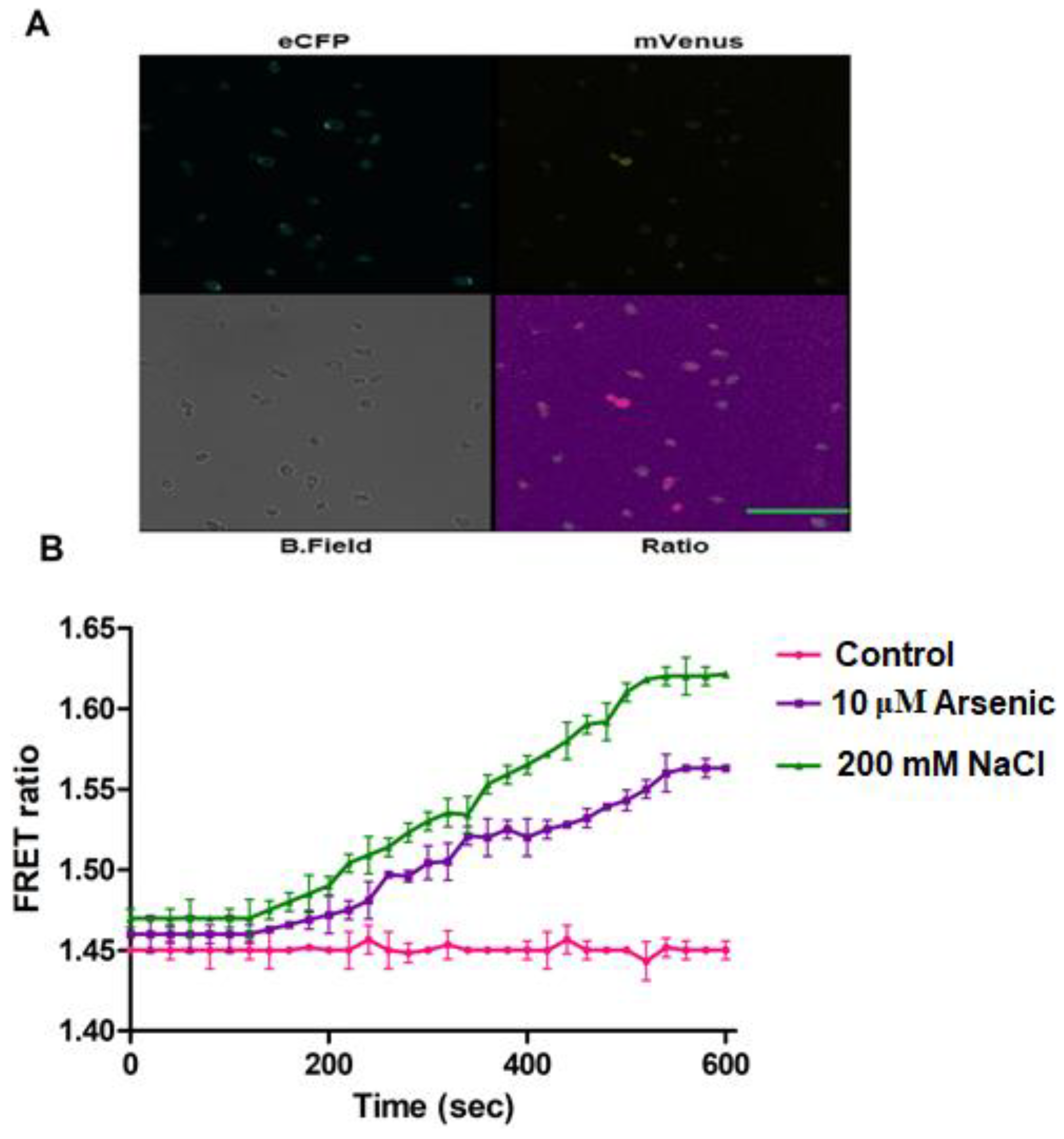 Biology 09 00430 g008