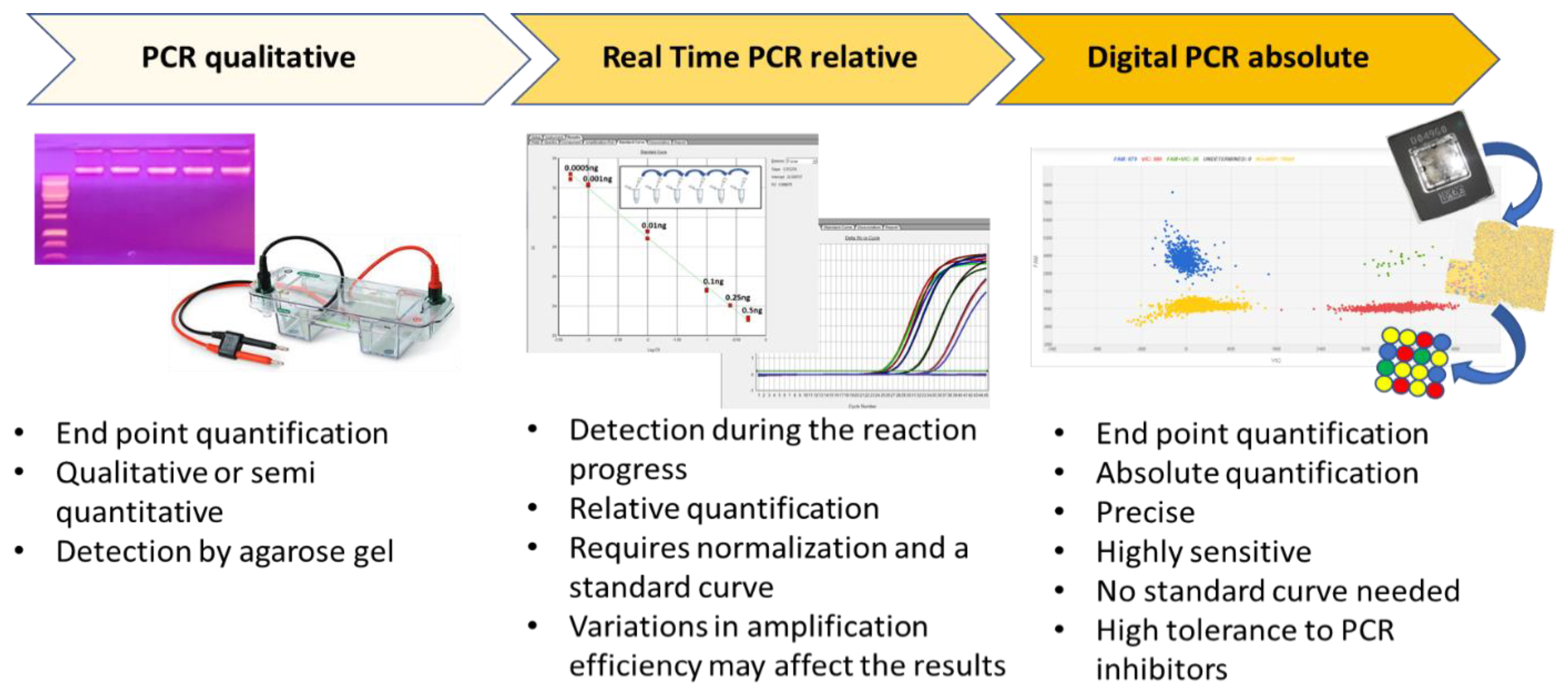 Biology 09 00433 g001 Biology 09 00433 g001