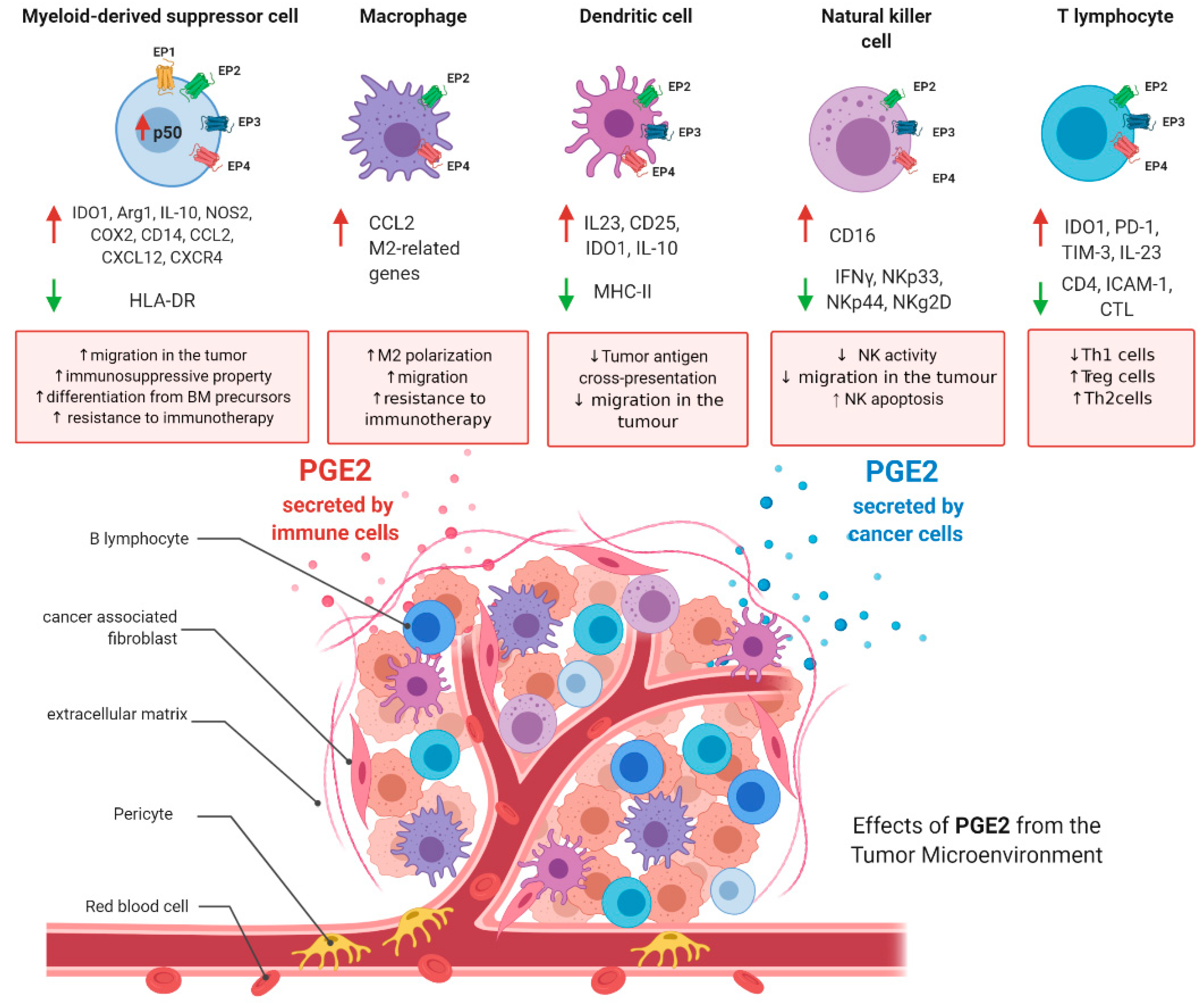 Biology 09 00434 g003 Biology 09 00434 g003