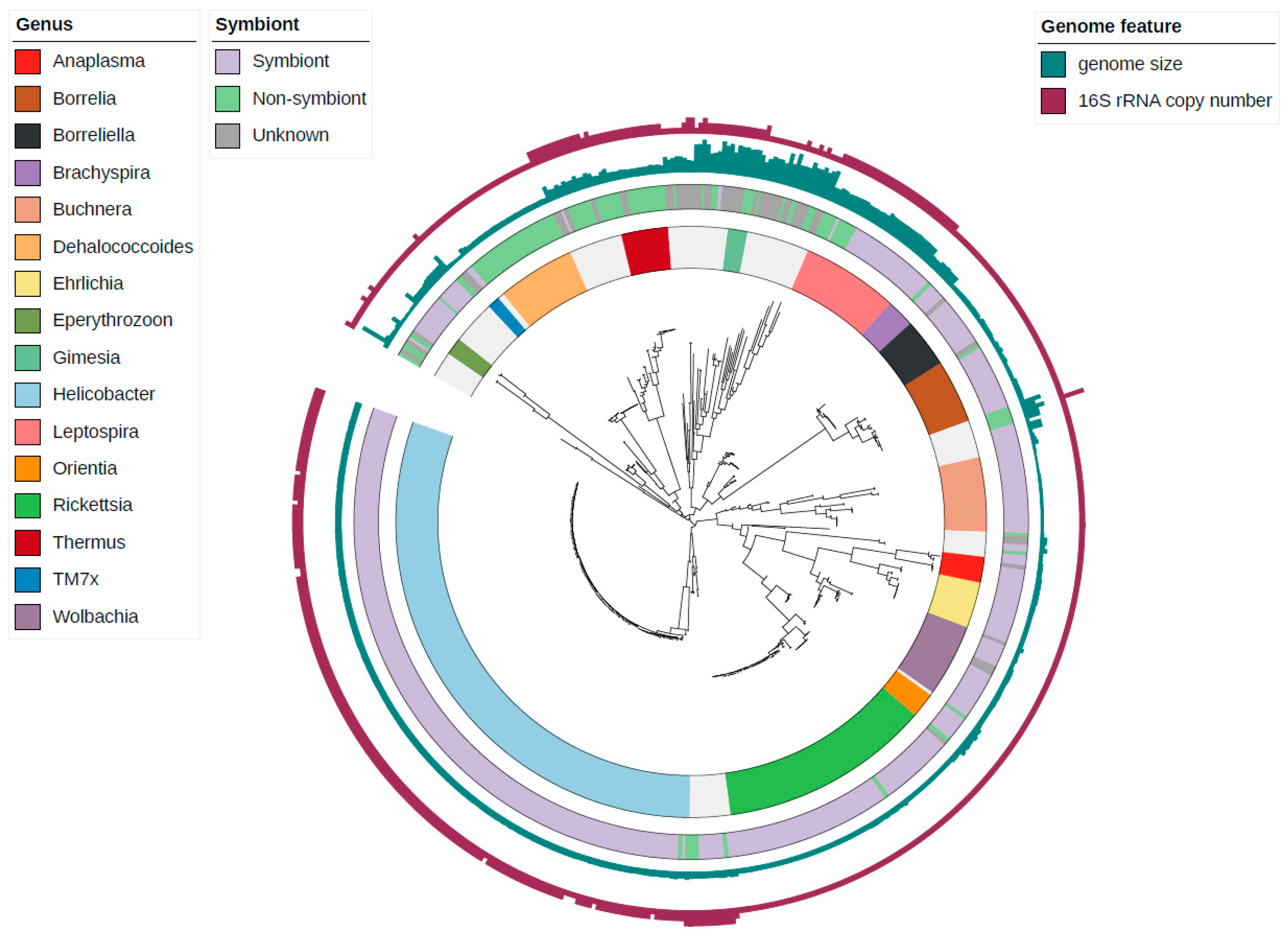 Biology 09 00440 g004 Biology 09 00440 g004