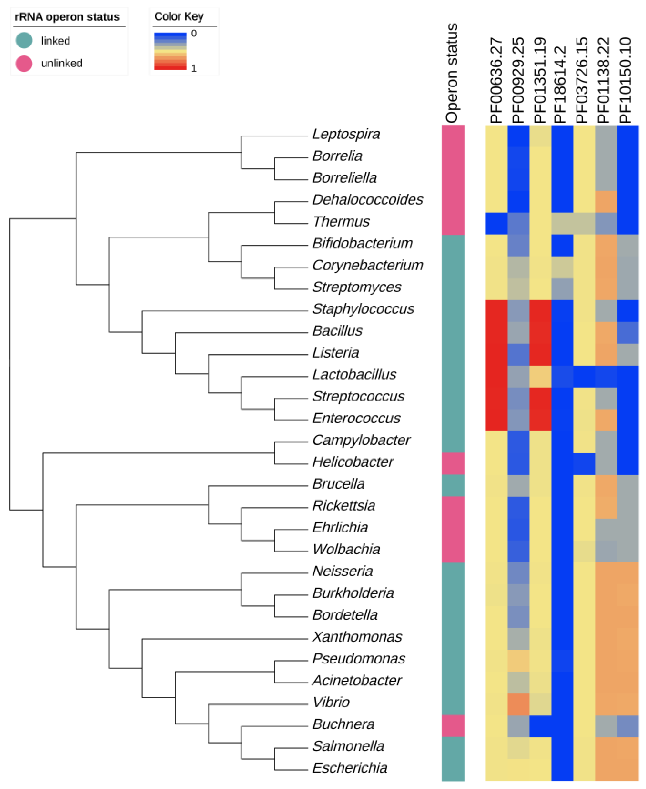 Biology 09 00440 g008 Biology 09 00440 g008