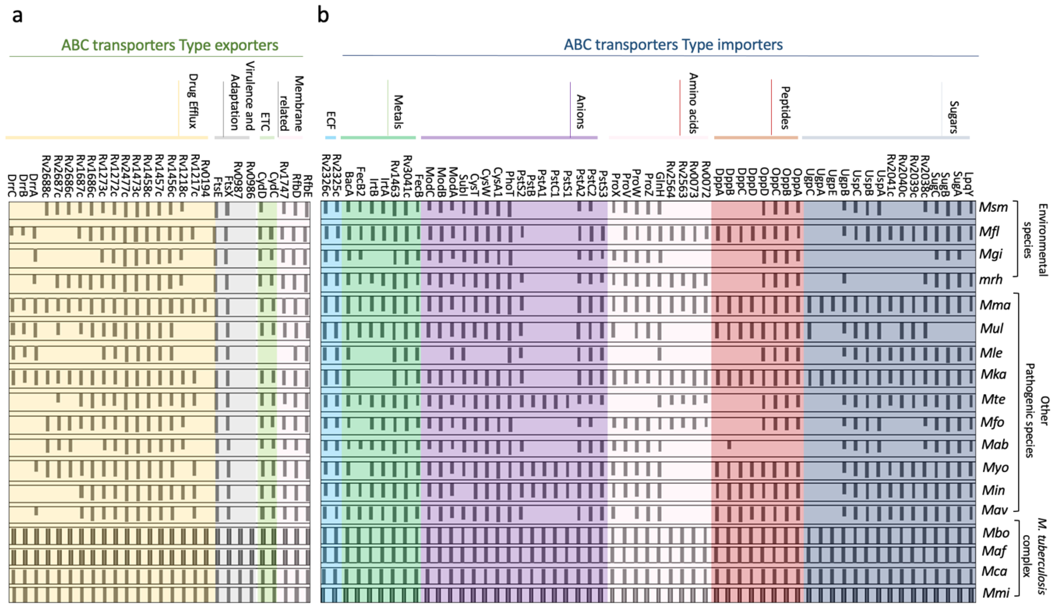 Biology 09 00443 g002