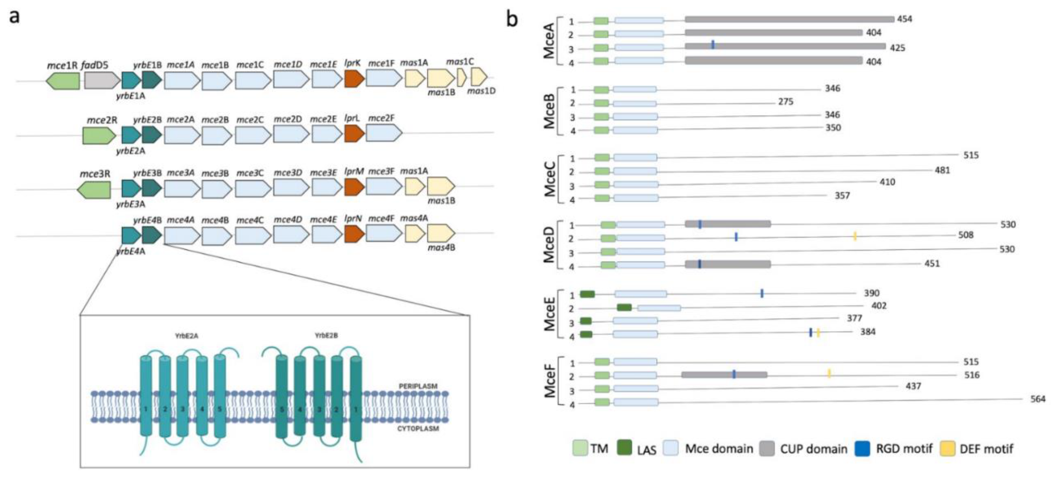 Biology 09 00443 g003