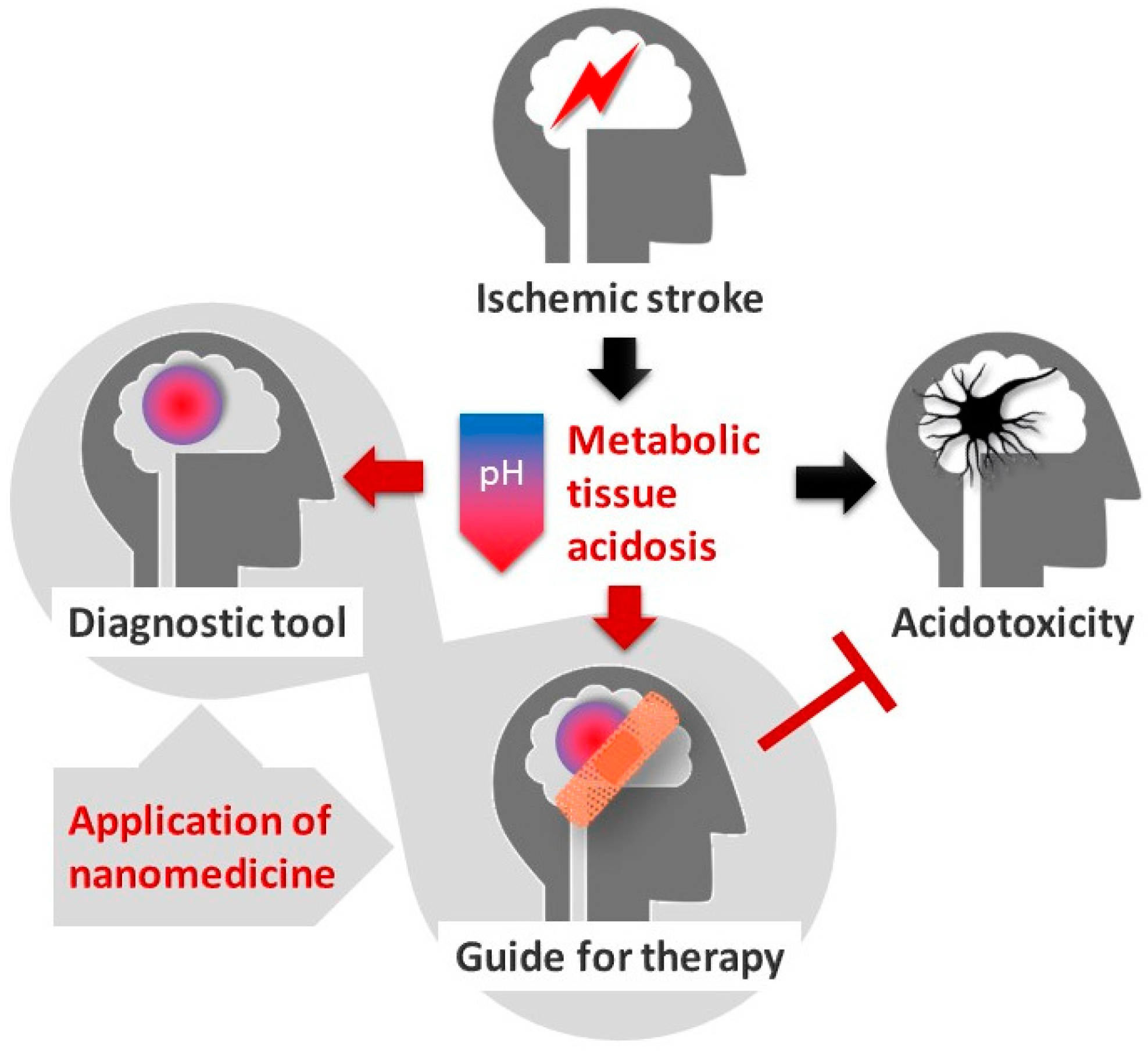 Biology 09 00460 g001 Biology 09 00460 g001