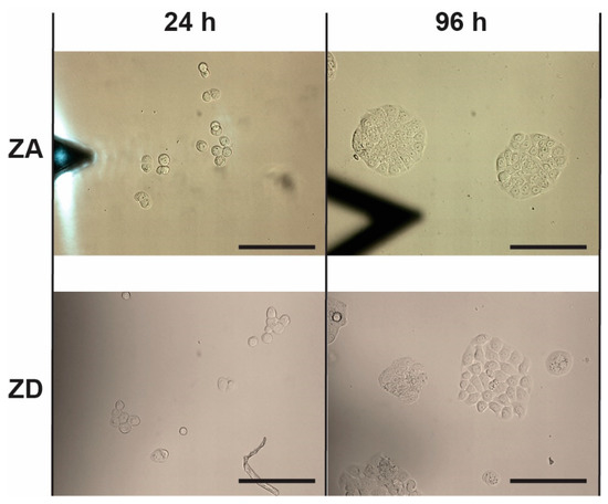 Biology 09 00468 g0a3