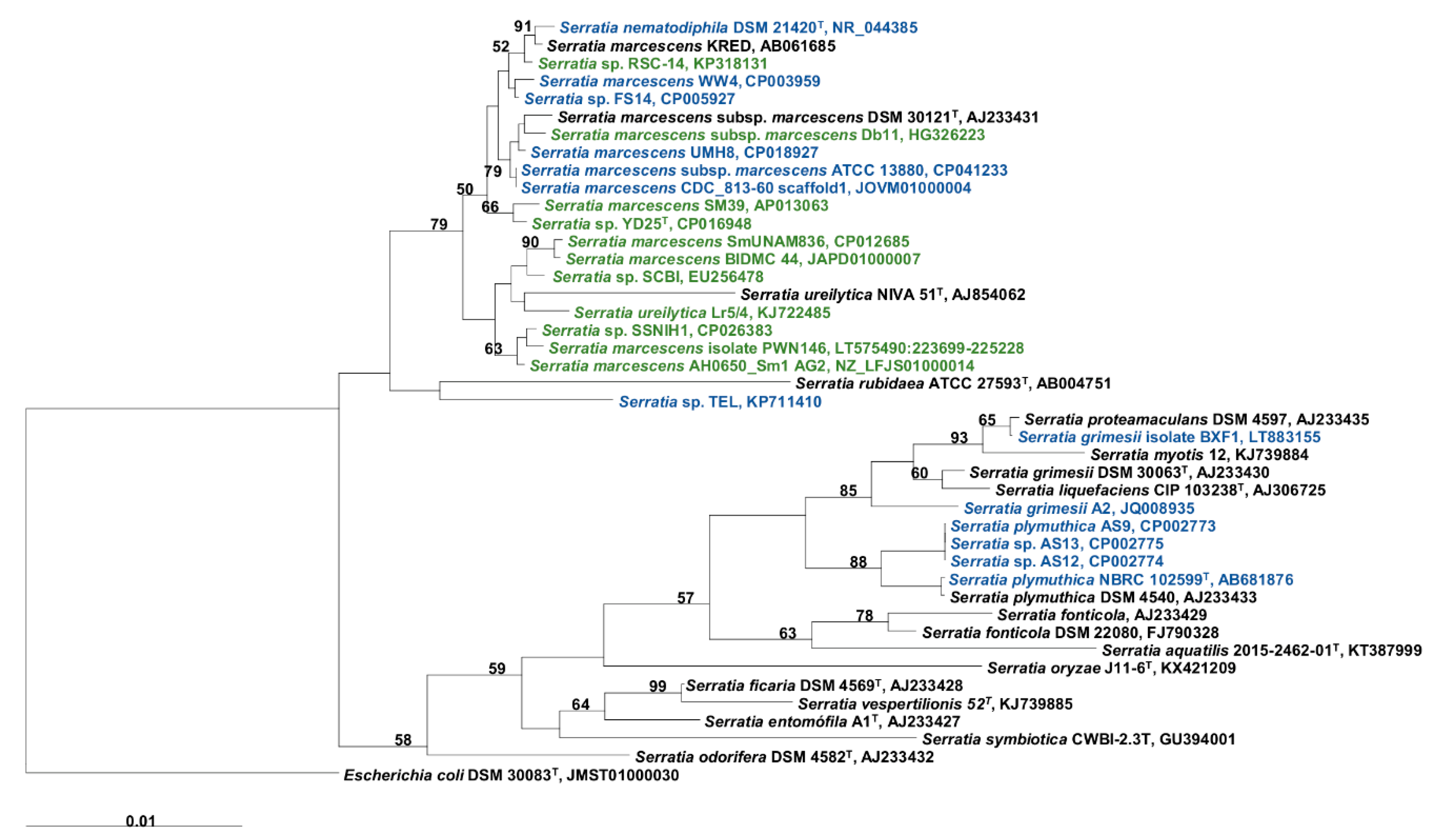 Biology 09 00482 g001