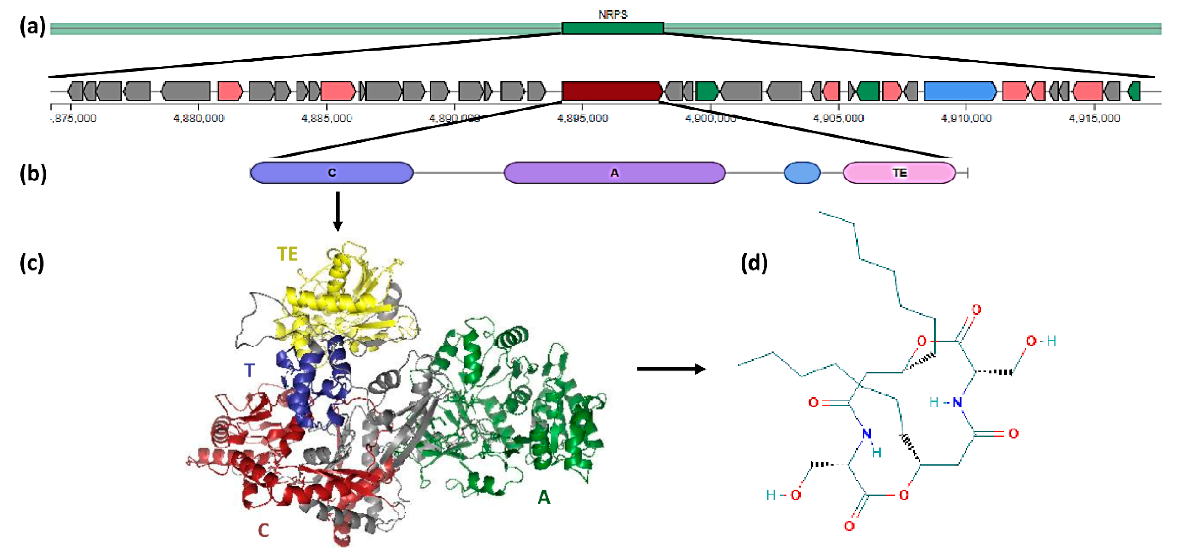 Biology 09 00482 g002