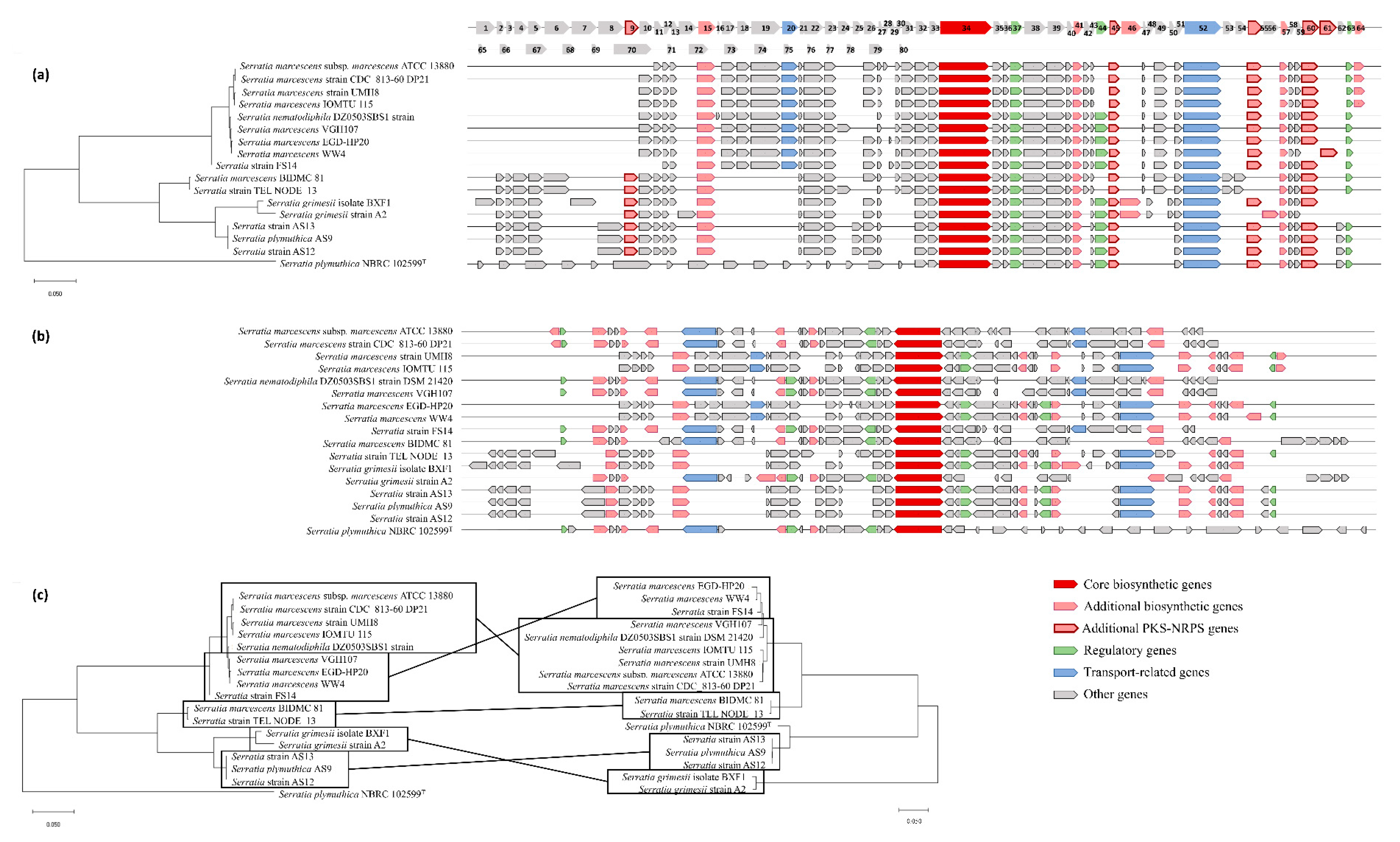 Biology 09 00482 g003