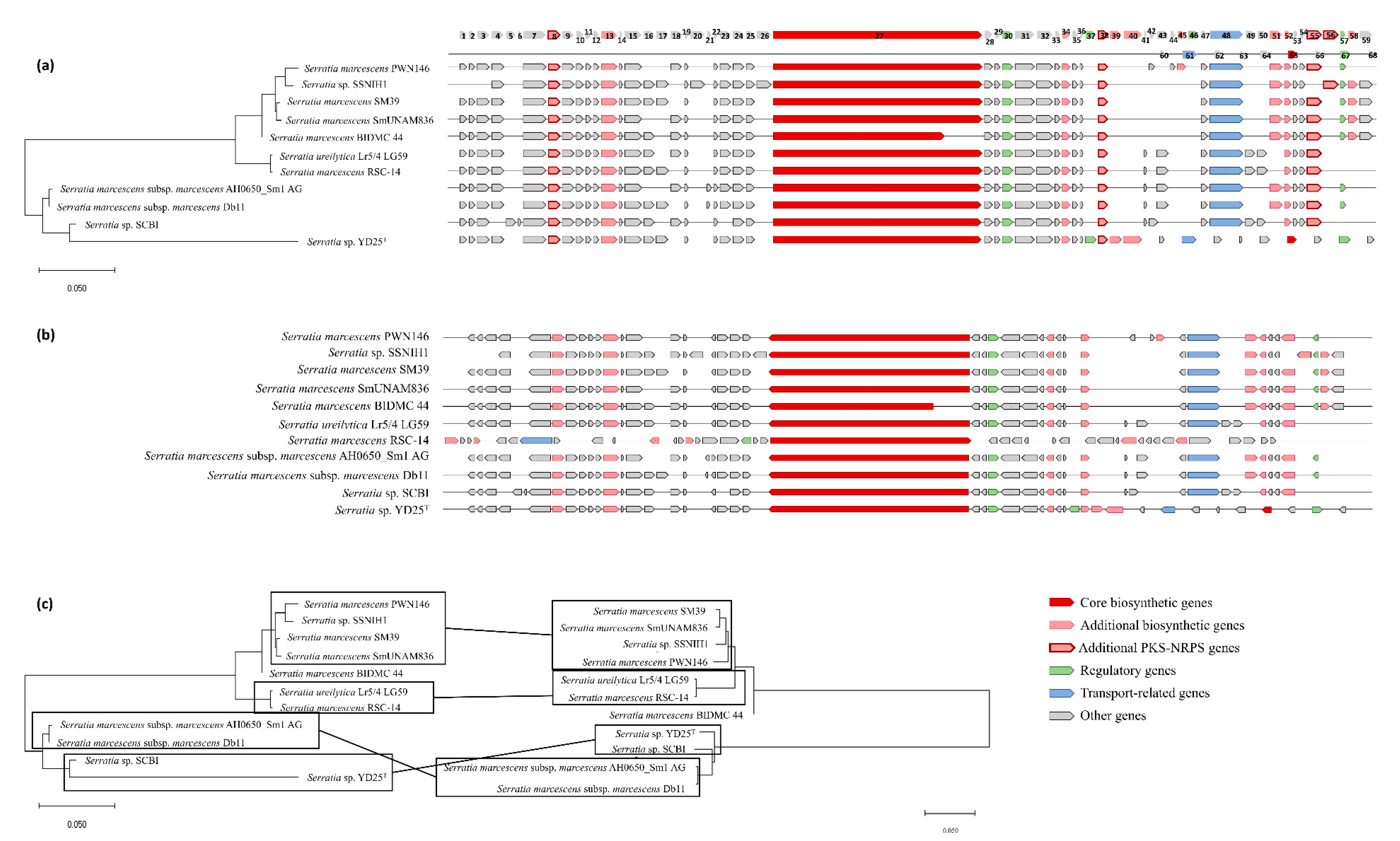 Biology 09 00482 g005