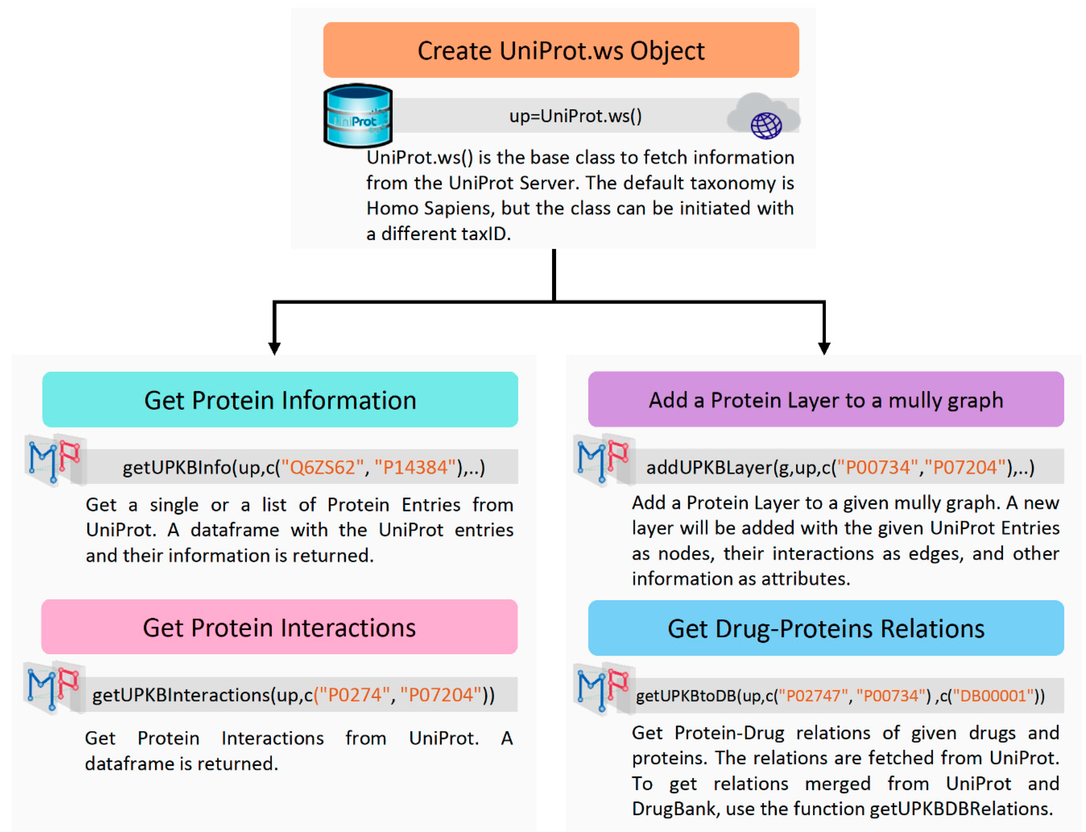 Biology 09 00483 g003