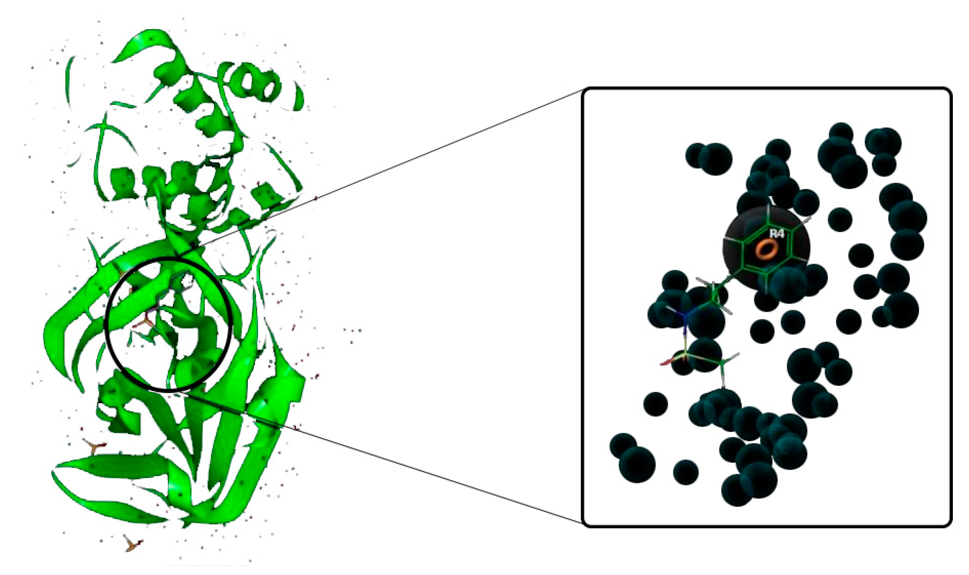 Biology 10 00002 g002