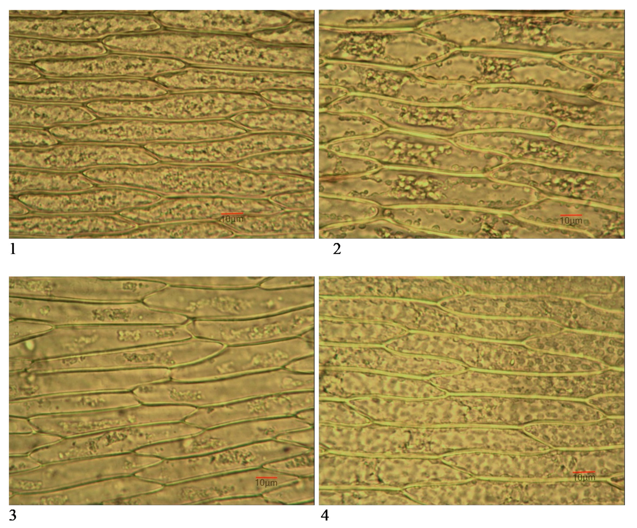 Biology 10 00003 g003