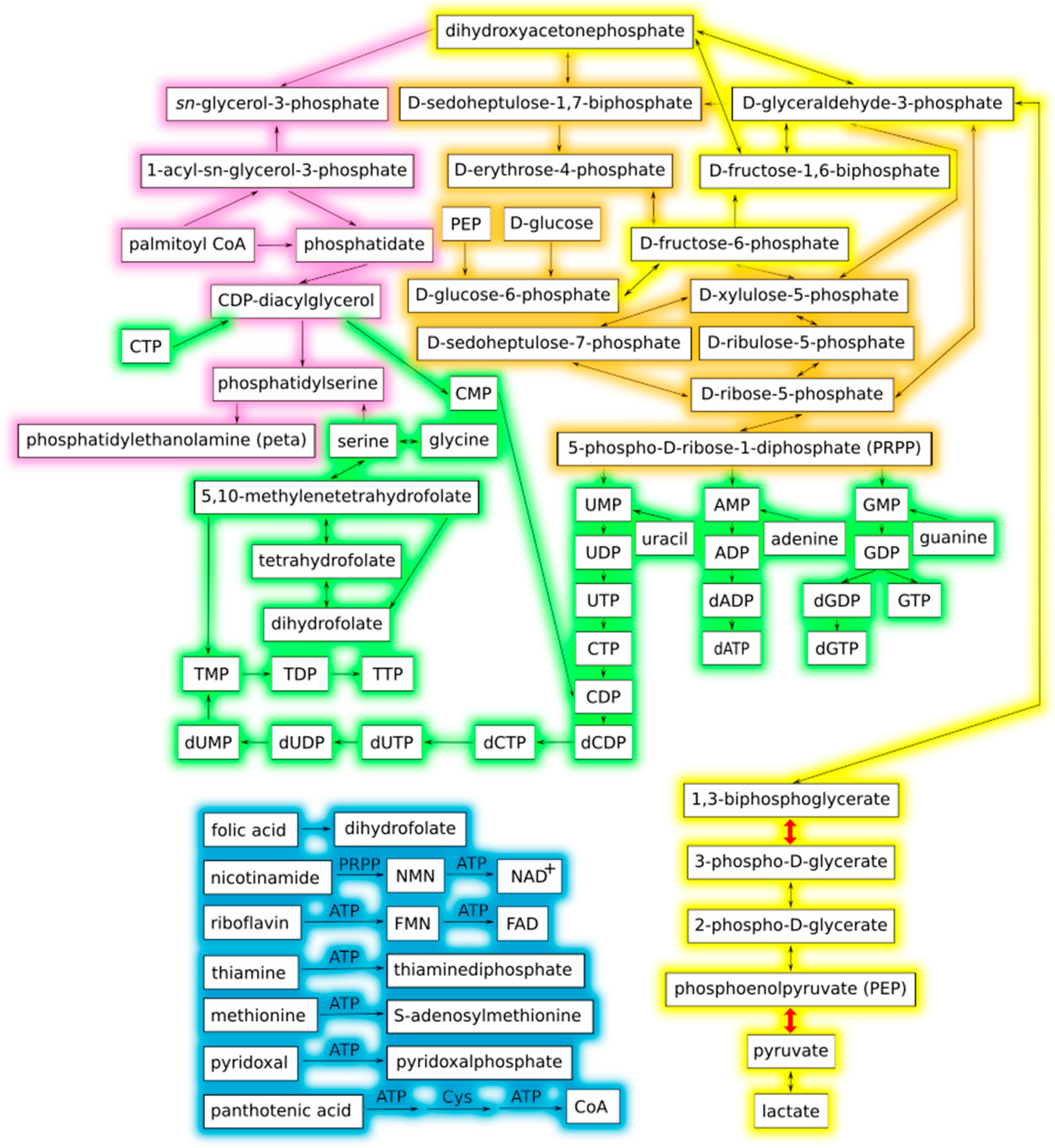 The Metabolic Building Blocks of a Minimal Cell | MDPI