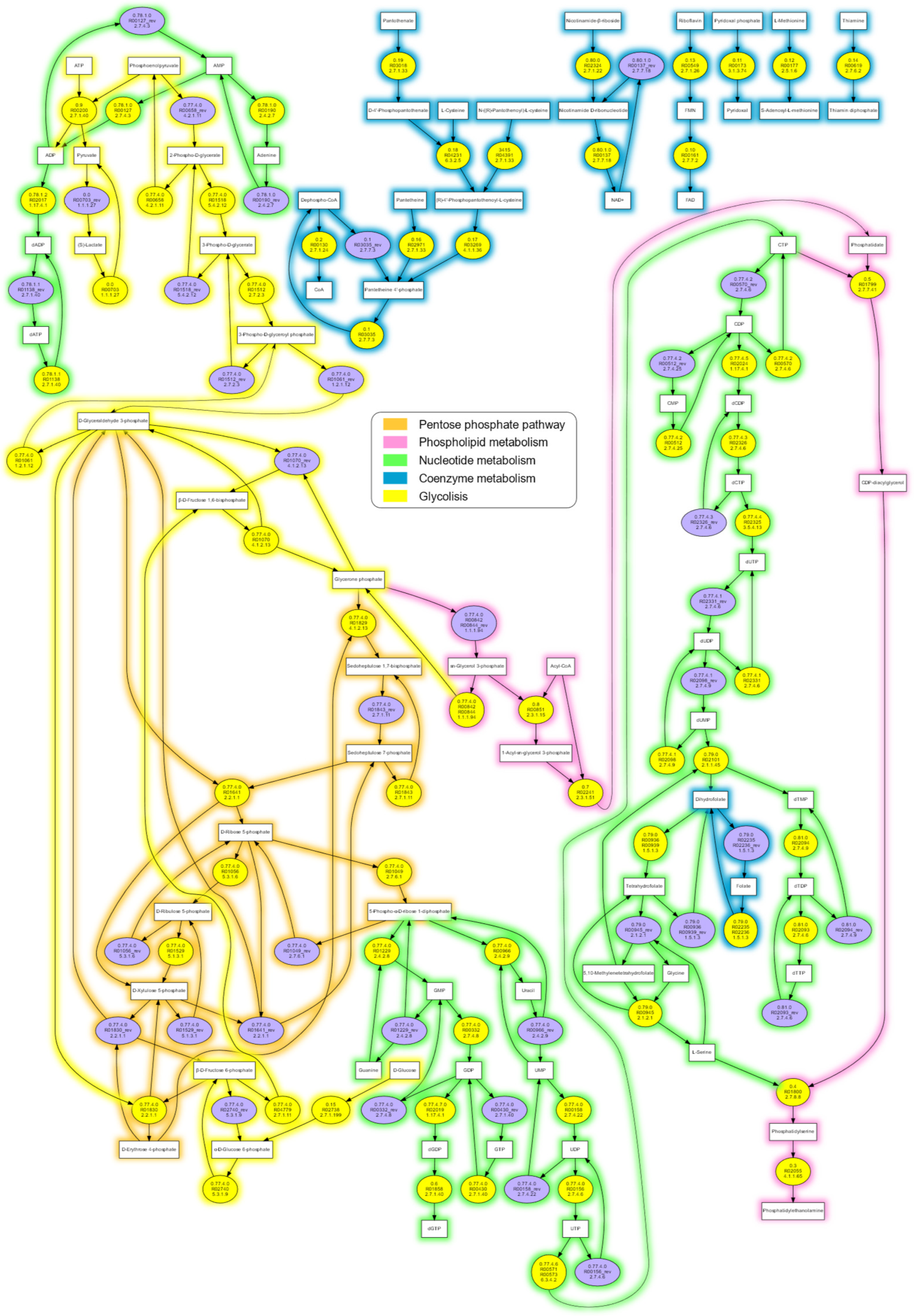 The Metabolic Building Blocks of a Minimal Cell | MDPI