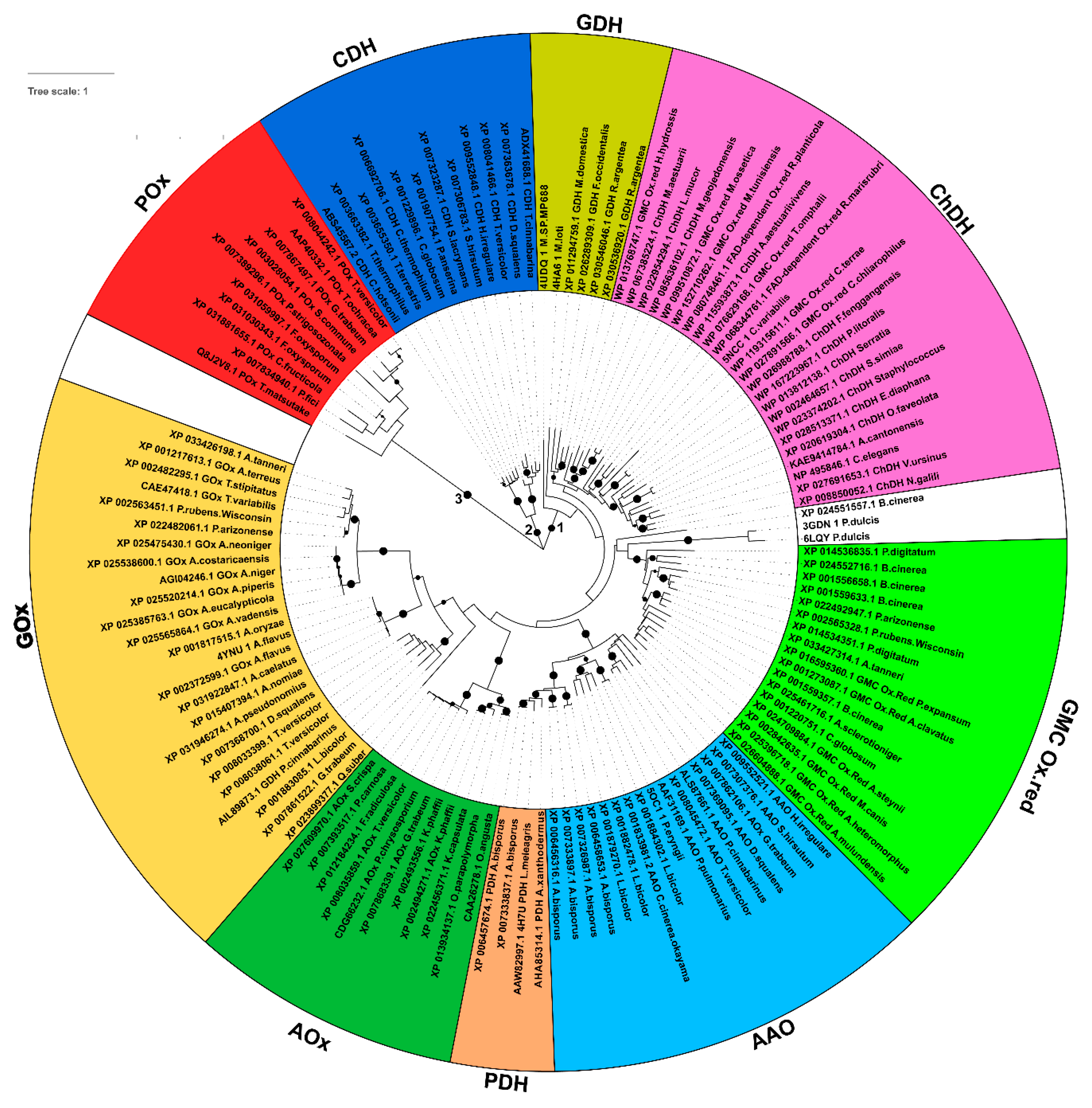 Biology 10 00021 g001